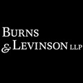 Burns & Levinson icon