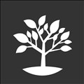 CallTree Pro icon