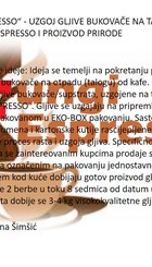 Ideja_-_prezentacija_Nermana_Šimšić.jpg