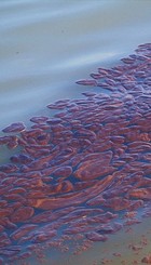 Oil spill