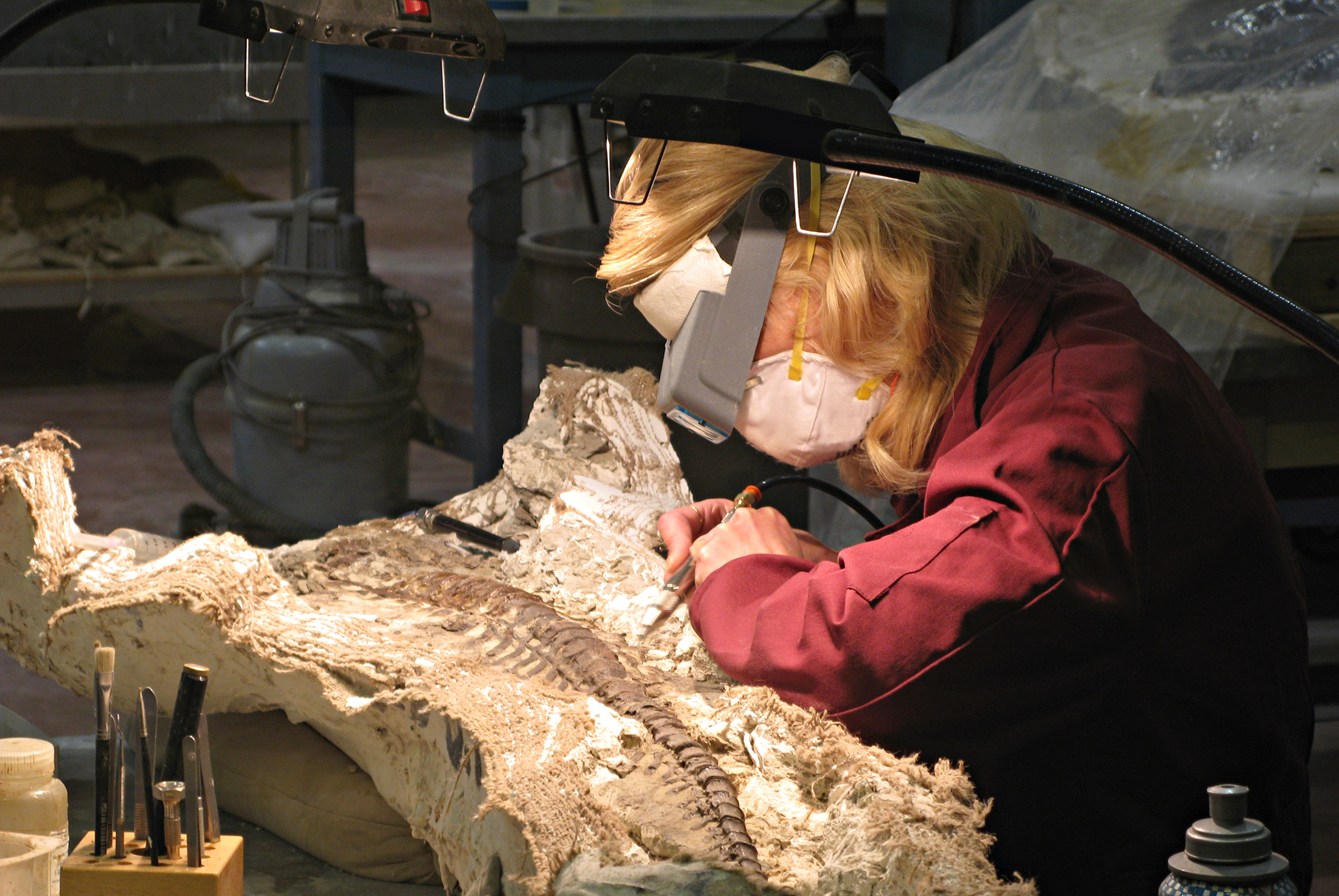 How Much Money Do Paleontologists Make?