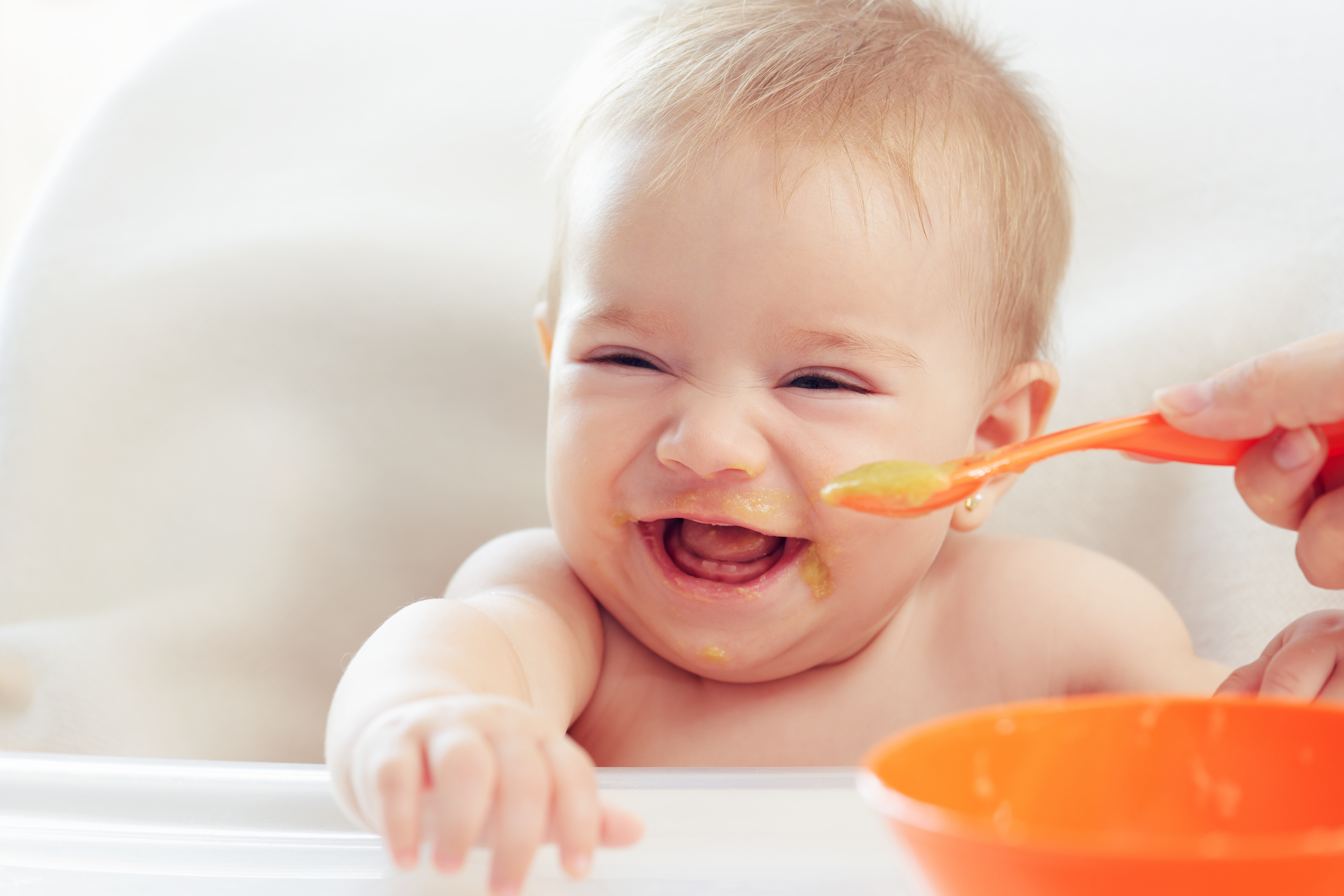 when can babies start eating food