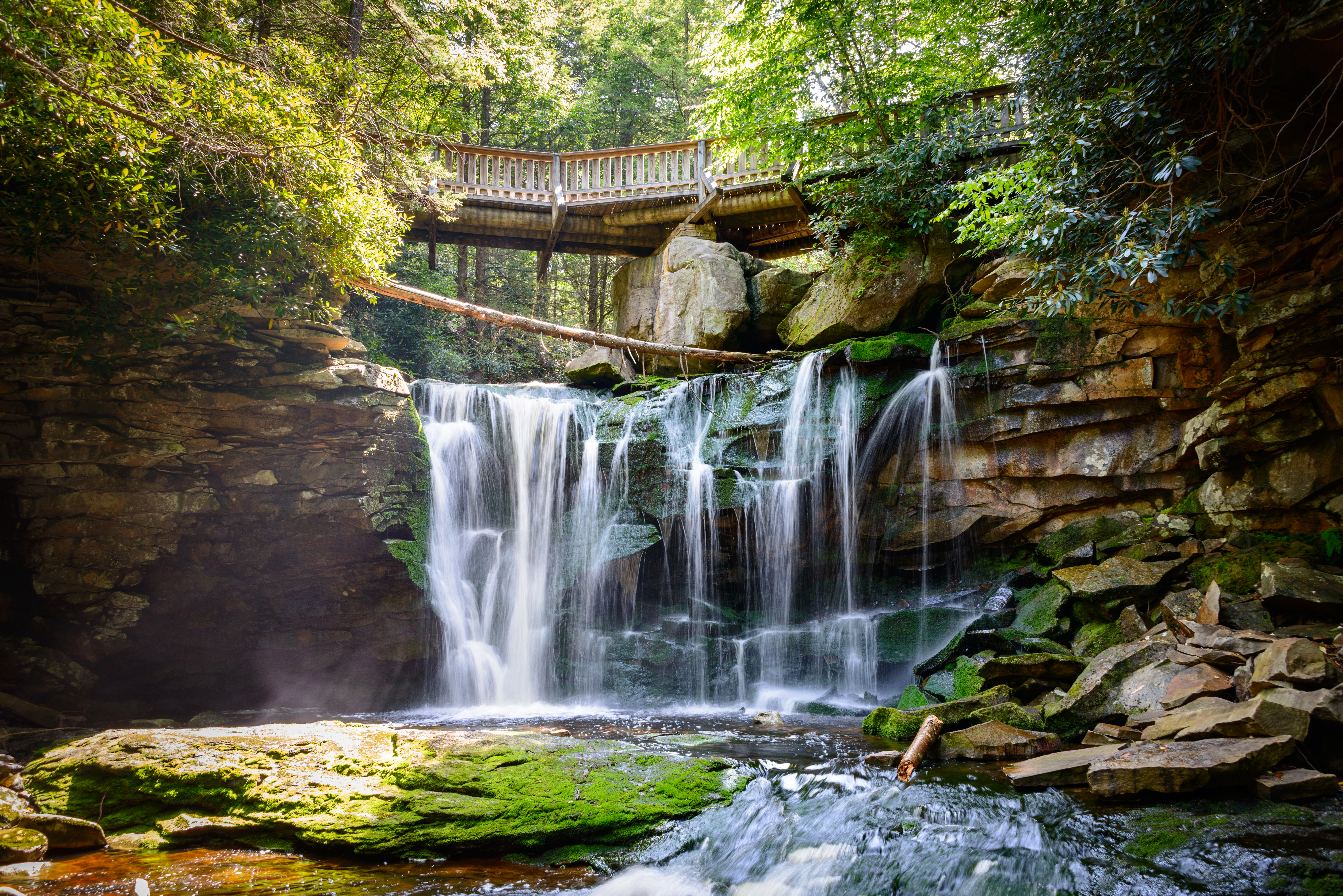 The Best Campsites In Blackwater Falls State Park West Virginia