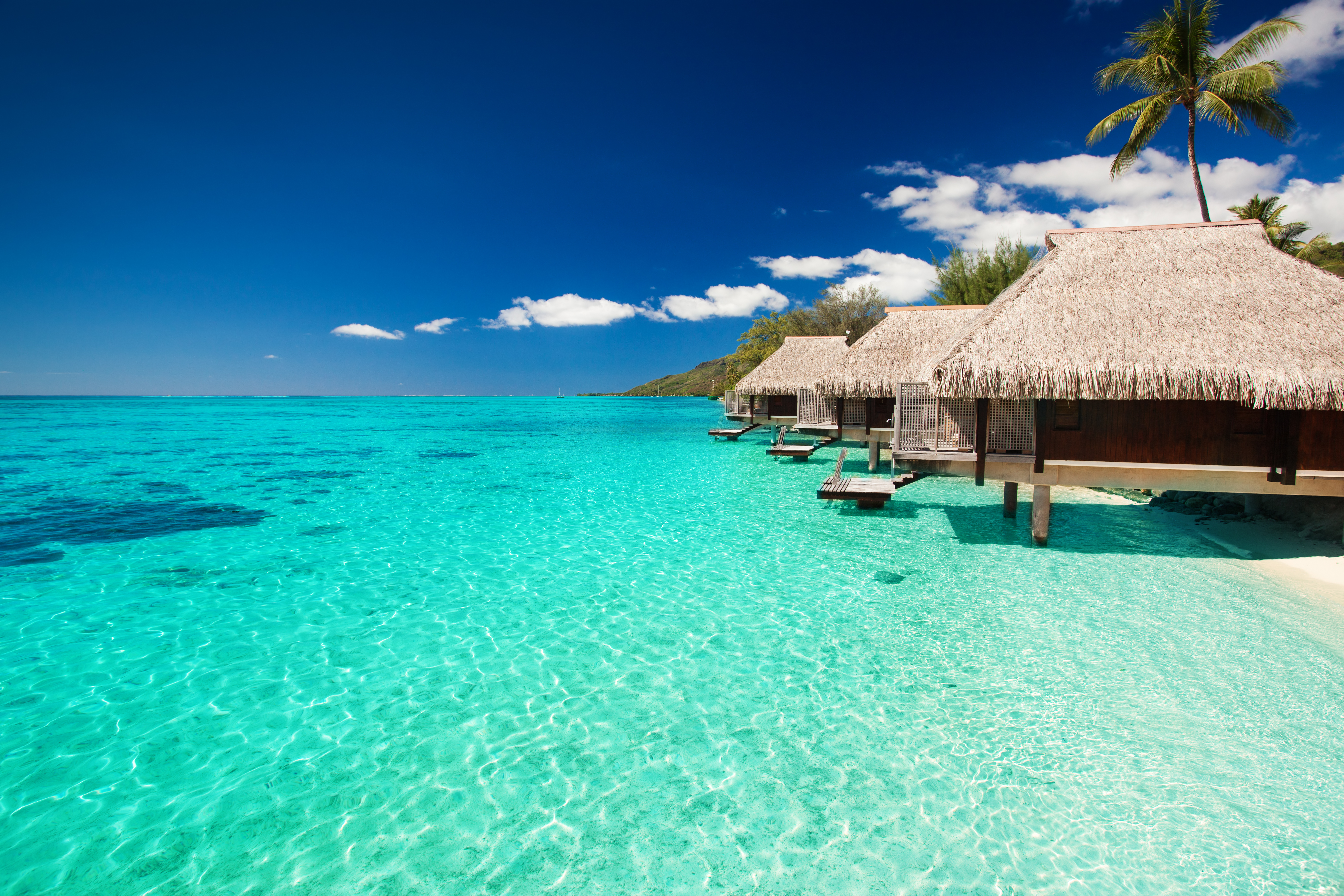 Bora Bora Honeymoon: How Much Does it Cost and Where to Stay? -   