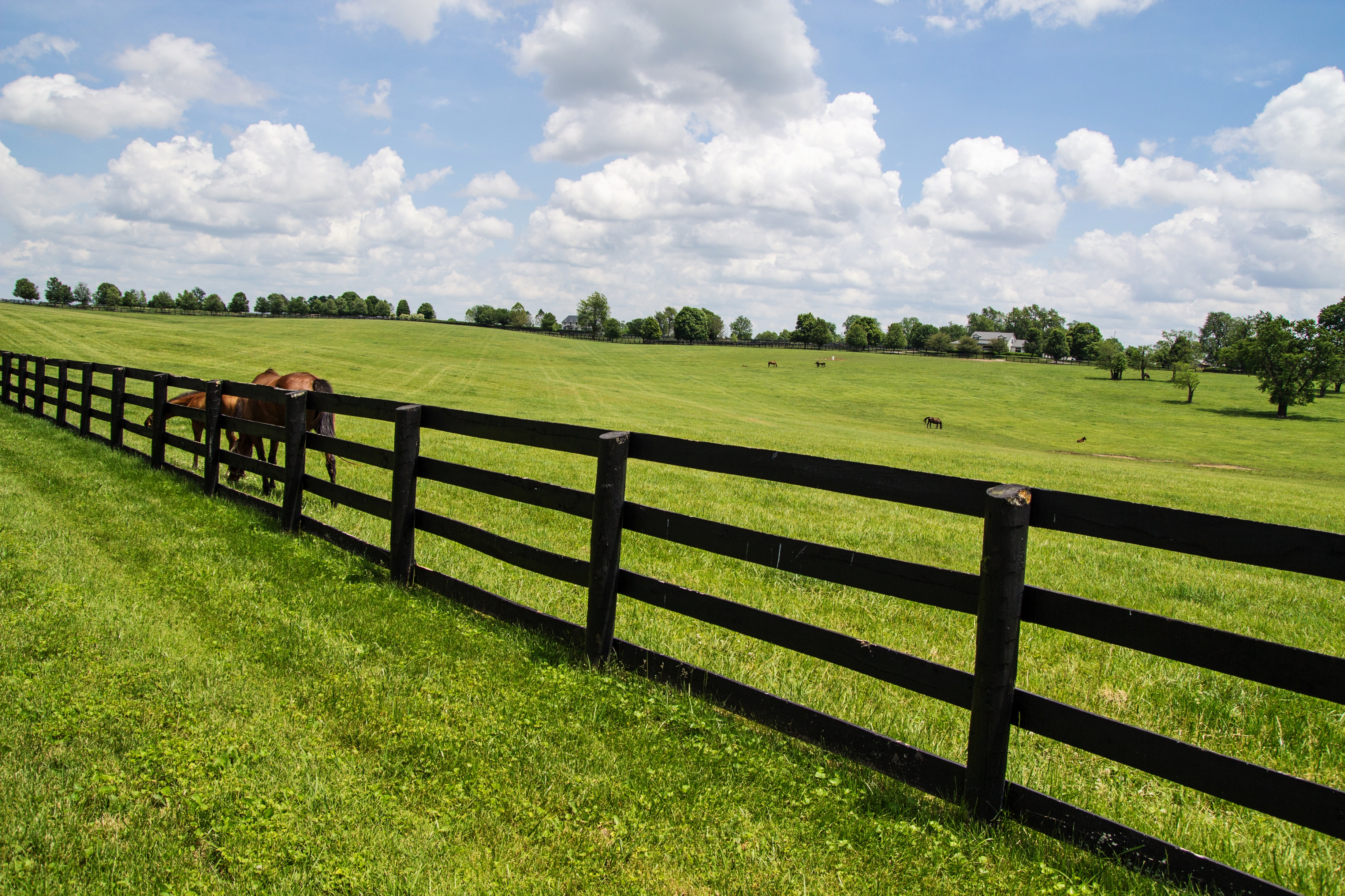 do you have to bury the wire for a dog fence