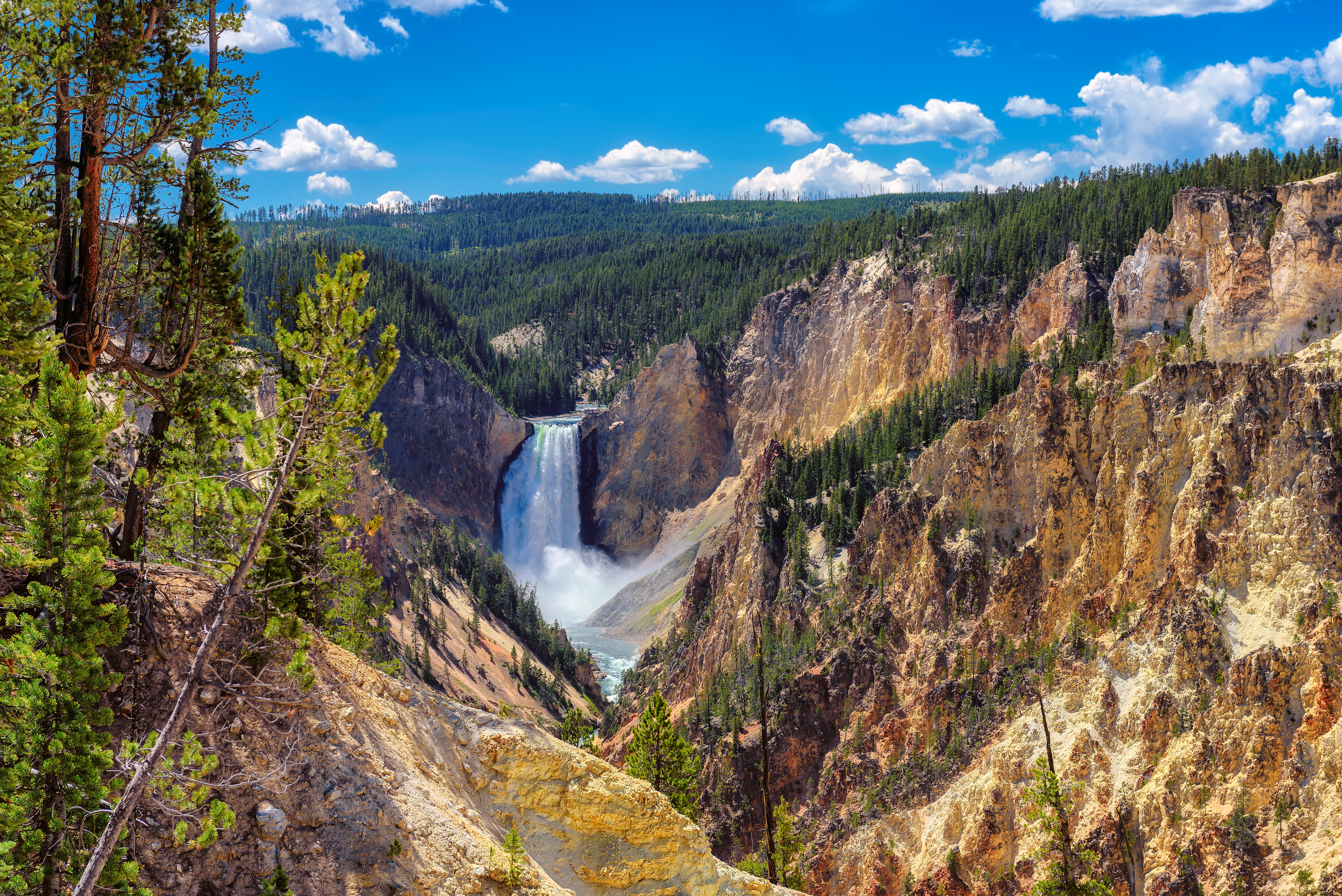 Visiting Yellowstone National Park In The Middle Of August