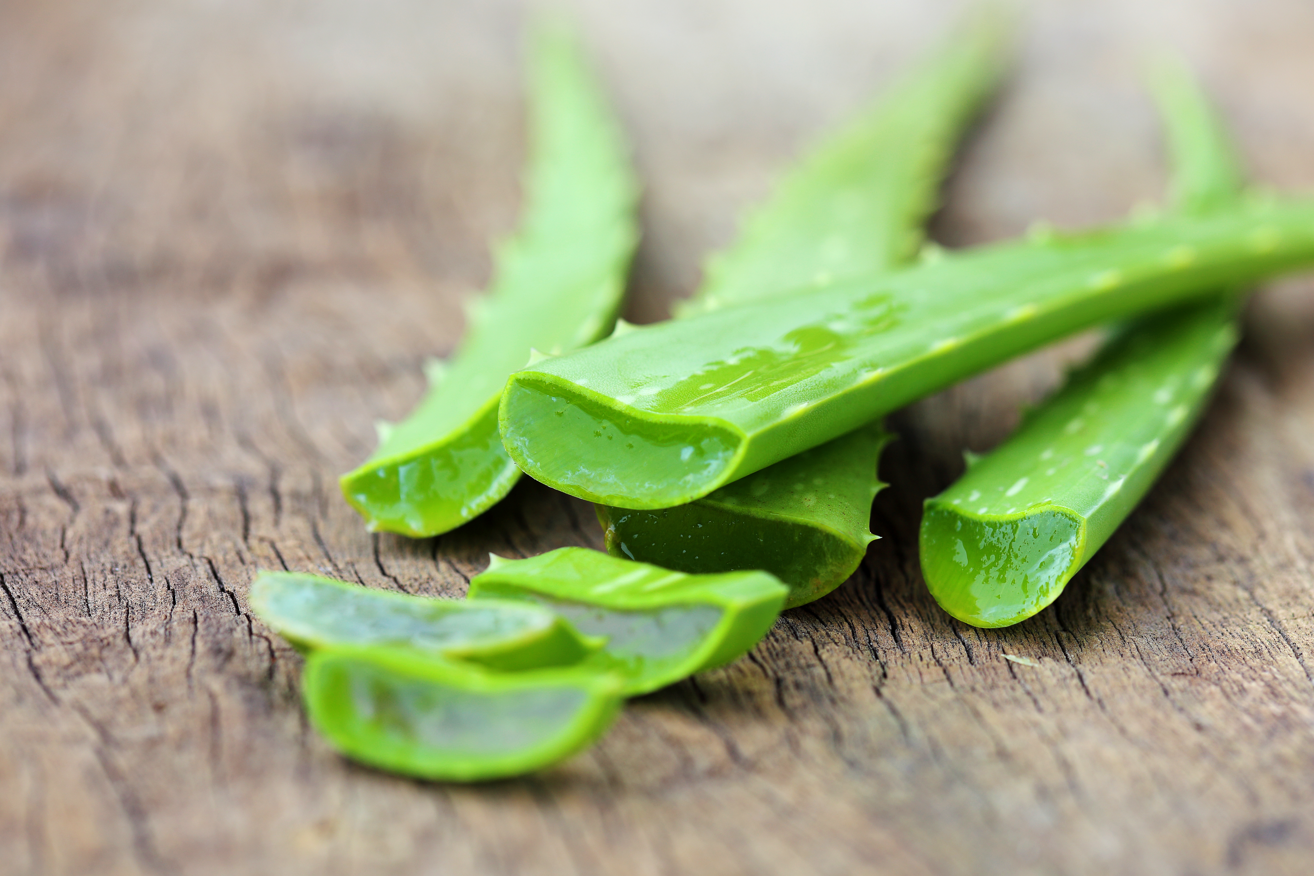 Diy Aloe Vera Facial For Smooth Glowy Skin Leaftv