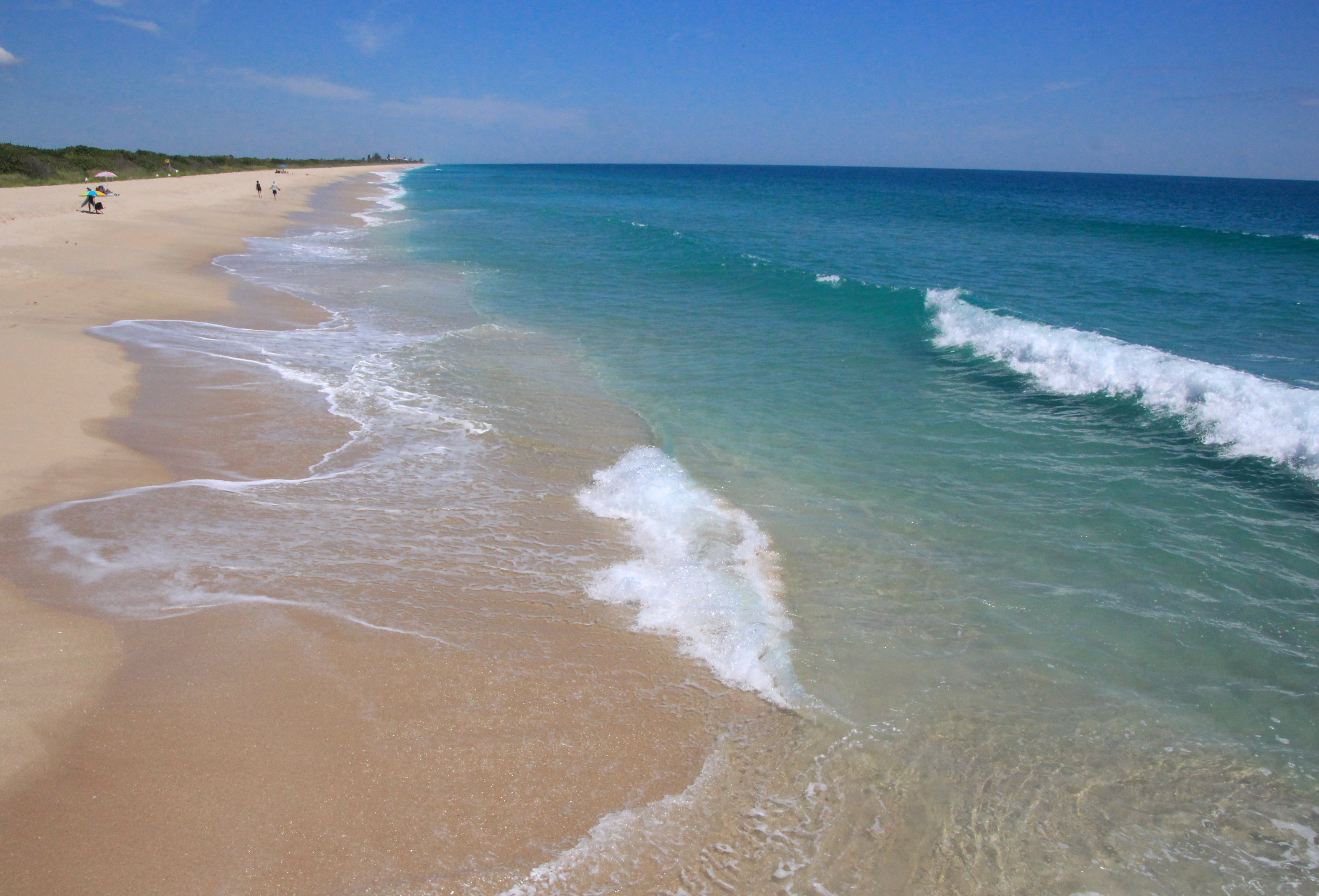 The Craziest Pier Fishing in America: Sebastian Pier, Florida 