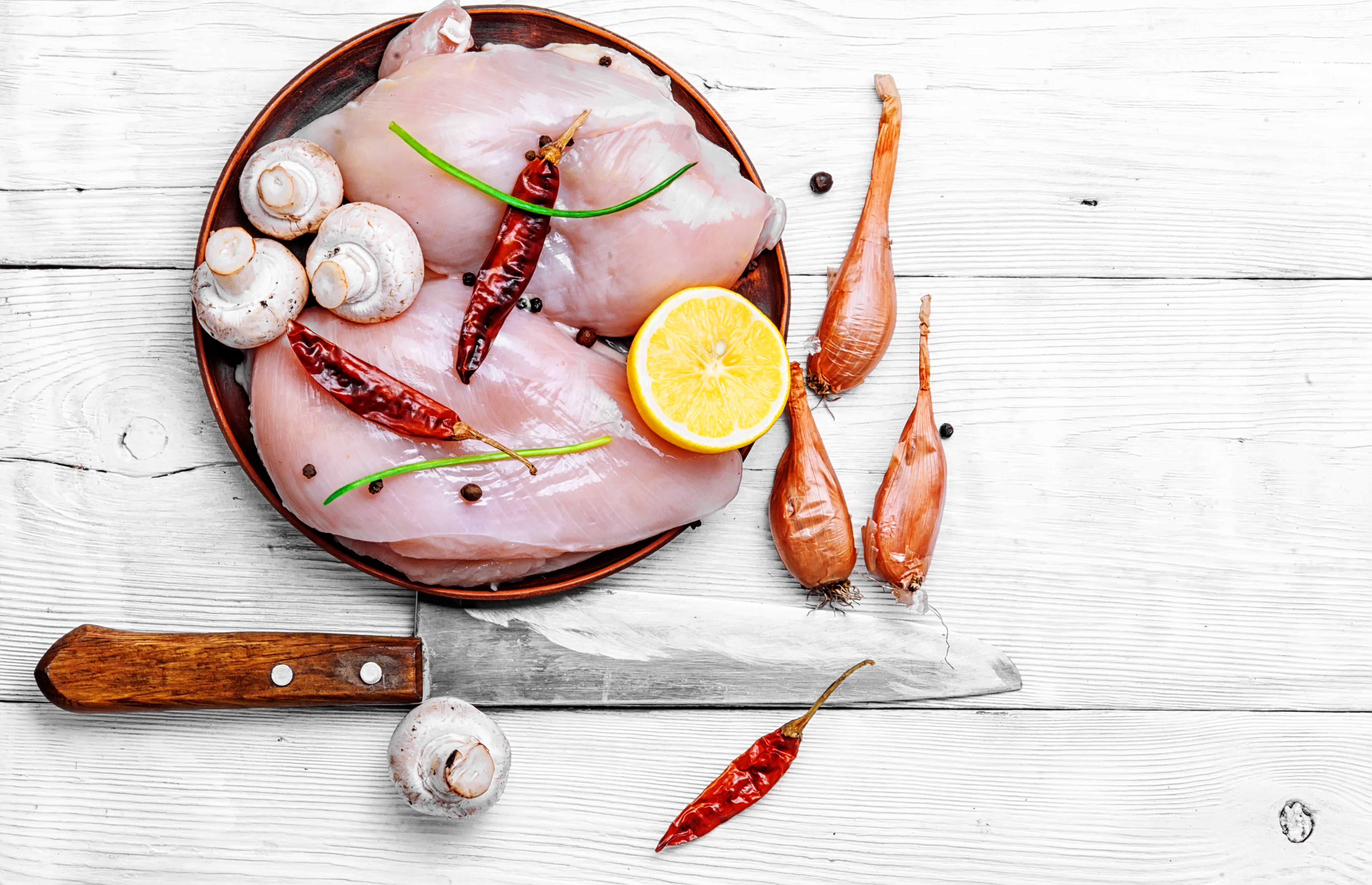 Boiling chicken clearance for cats