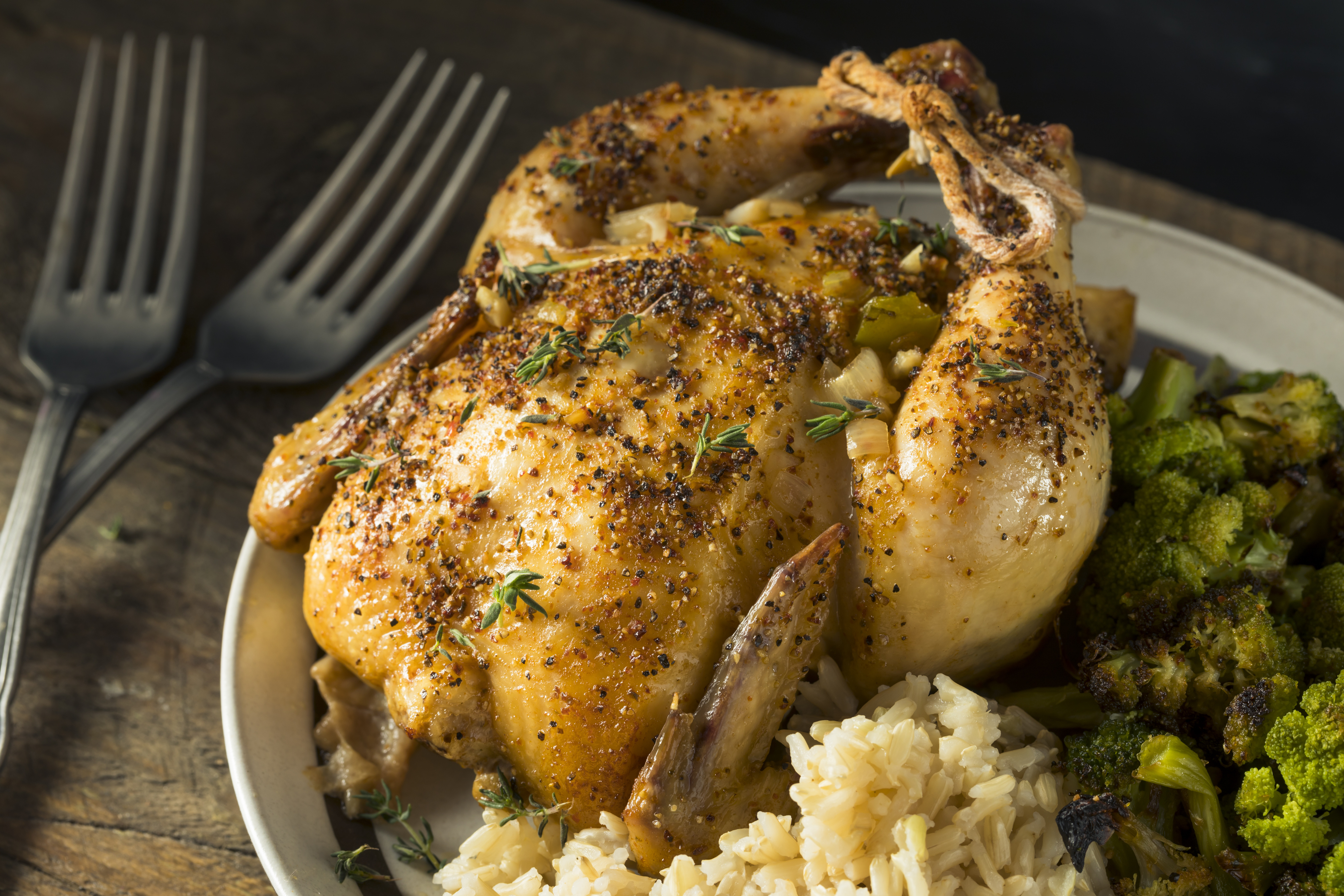 Easy Cornish Game Hen Meals | Our Everyday Life