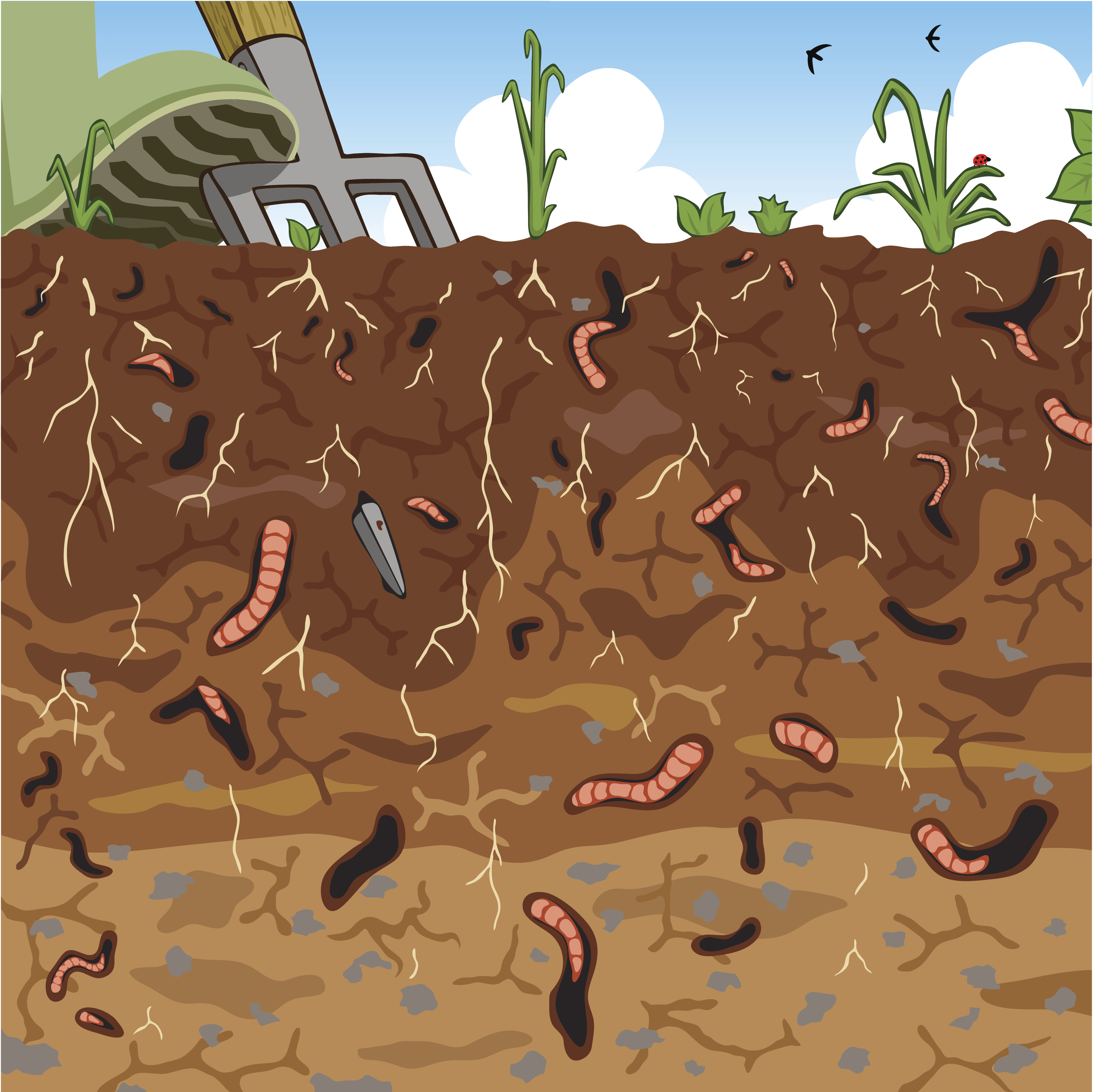 Earth's helpers: Earthworms add nutrients to soil, Home And Garden