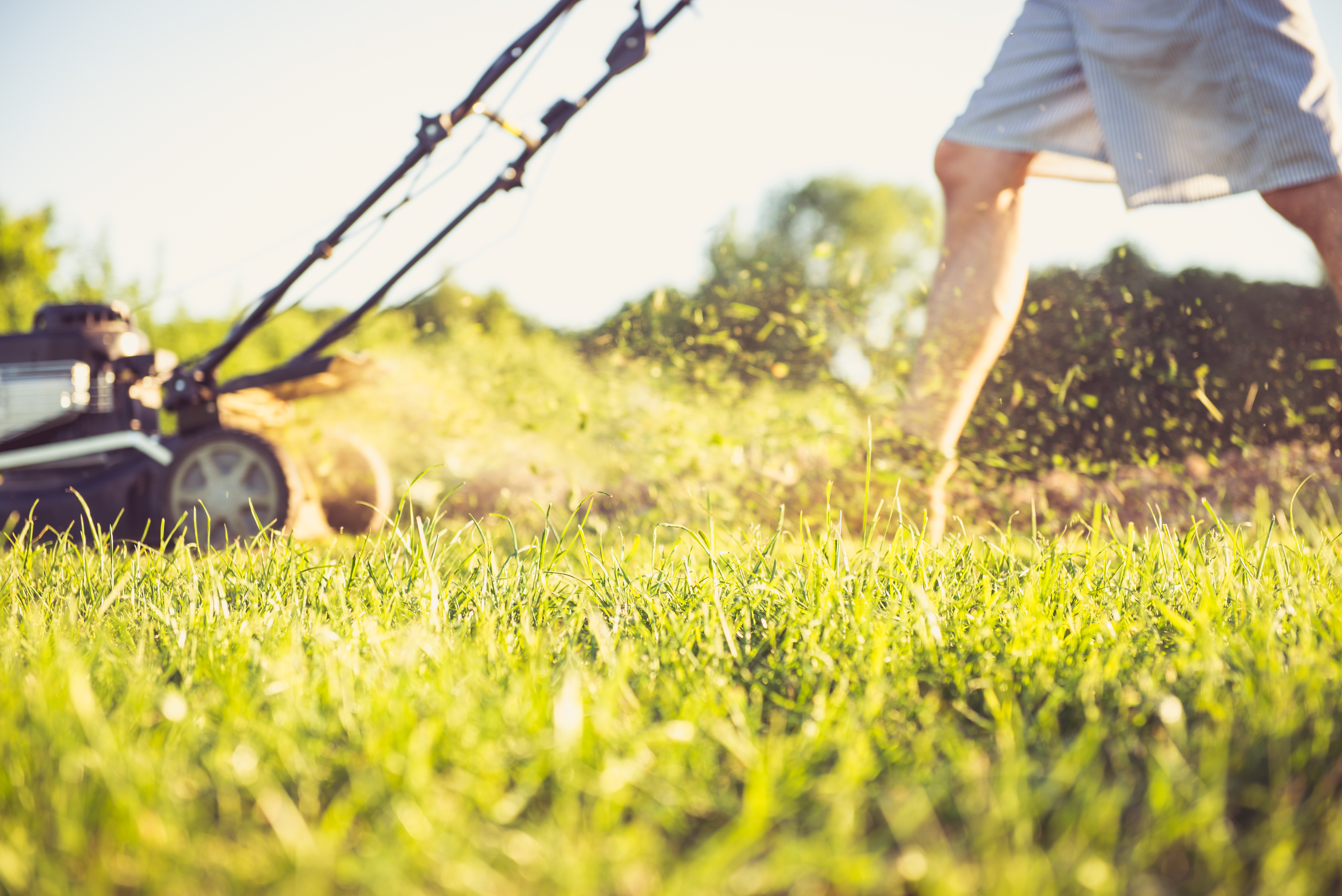 What Kind Of Gas Do Lawn Mowers Use