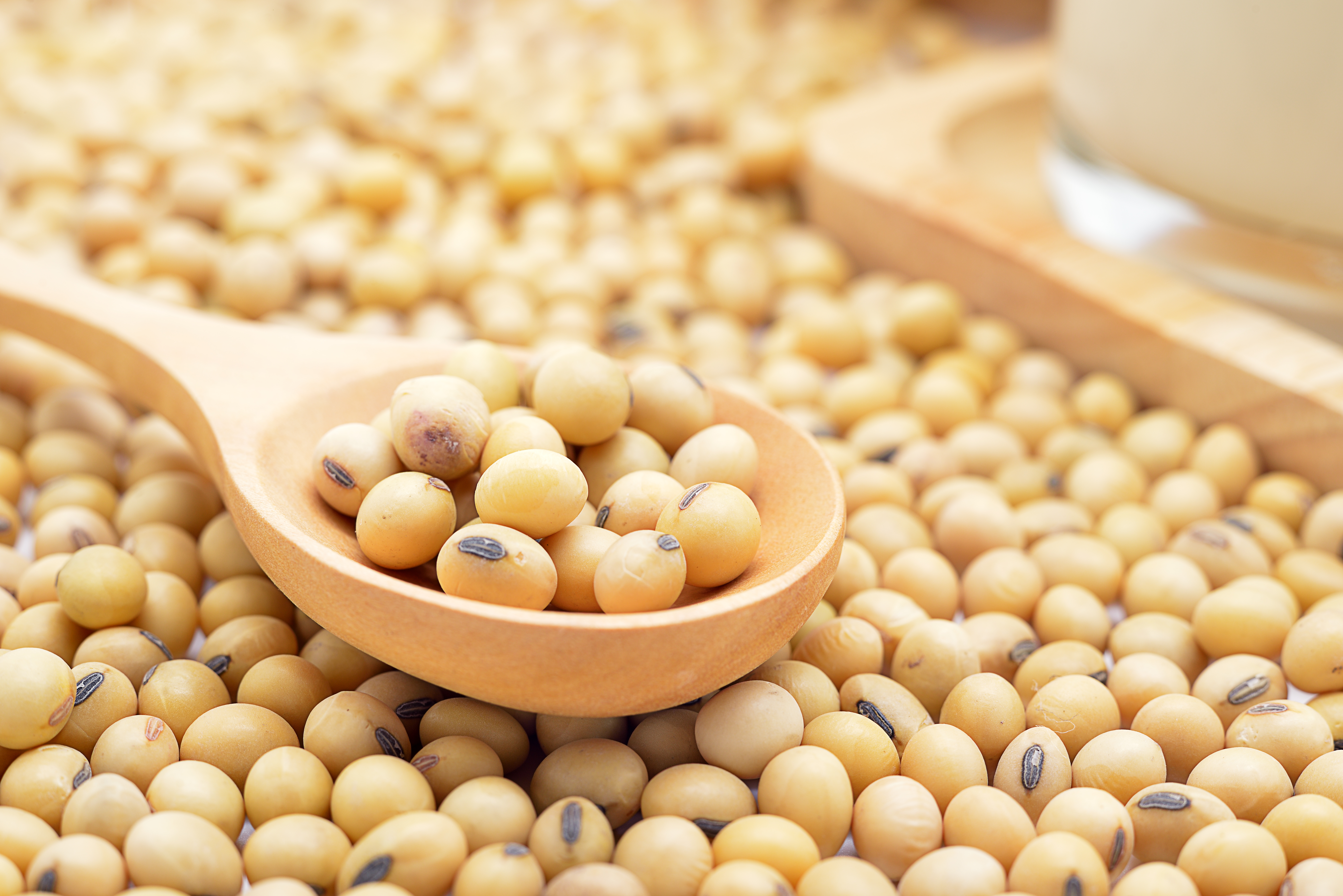 How to Cook Soybeans