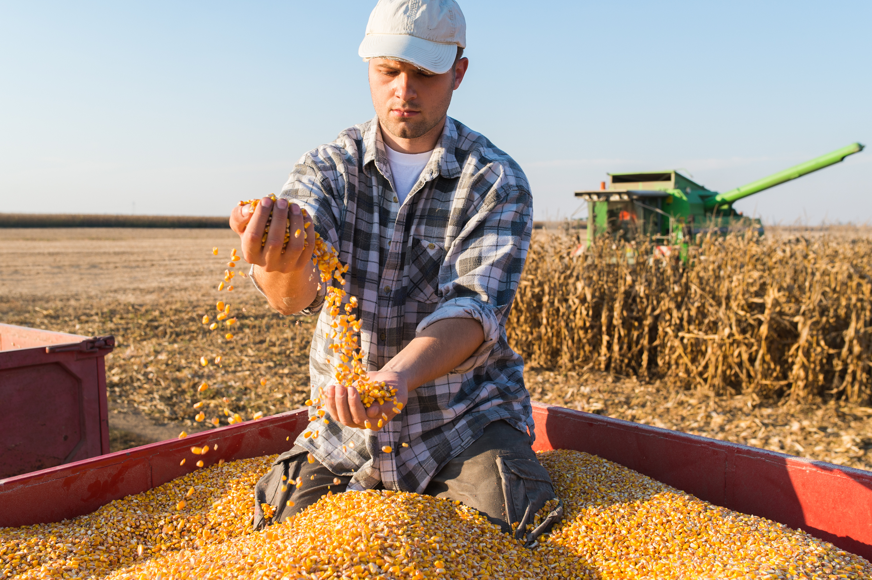 how do farmers make money growing corn