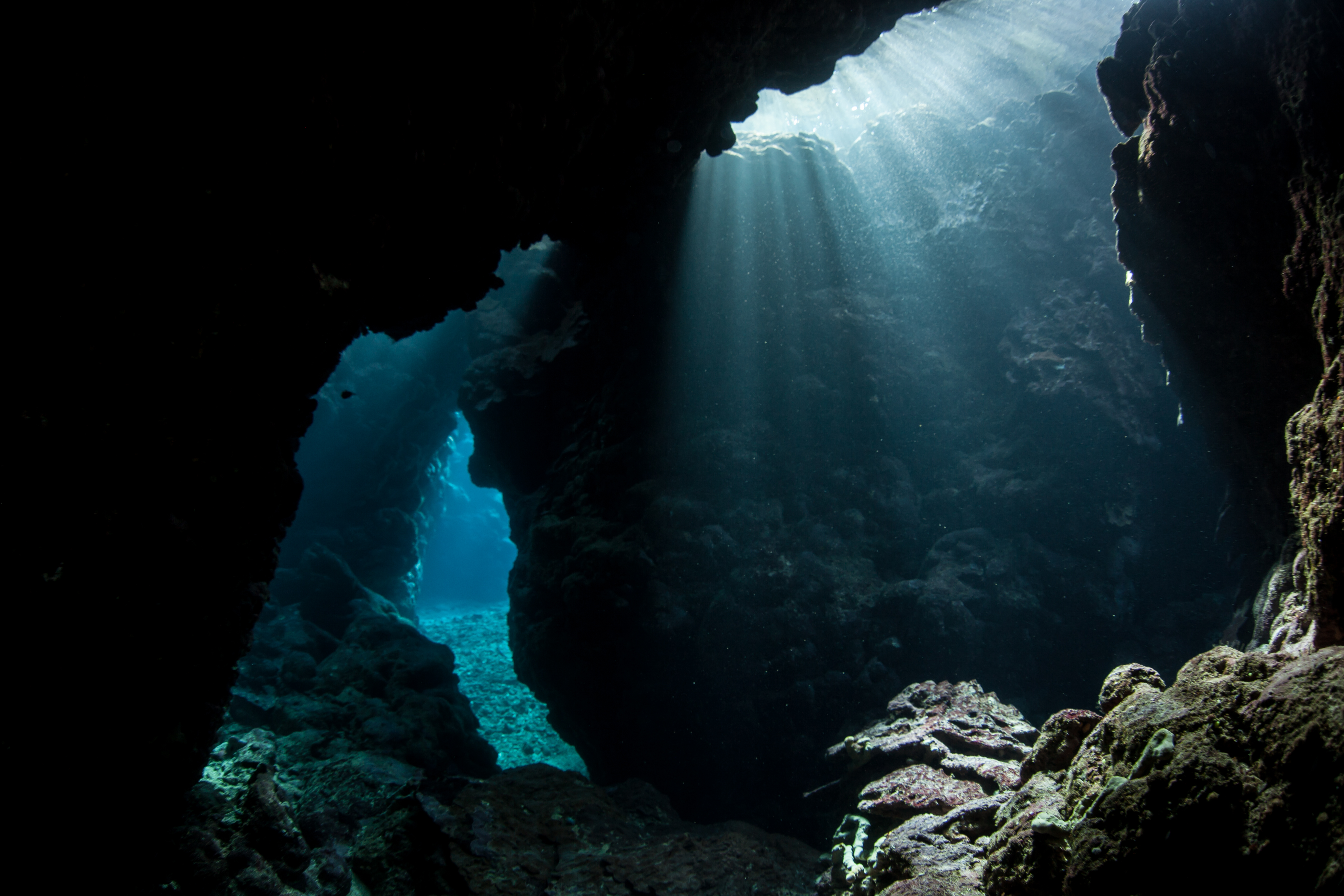 Ocean Trench