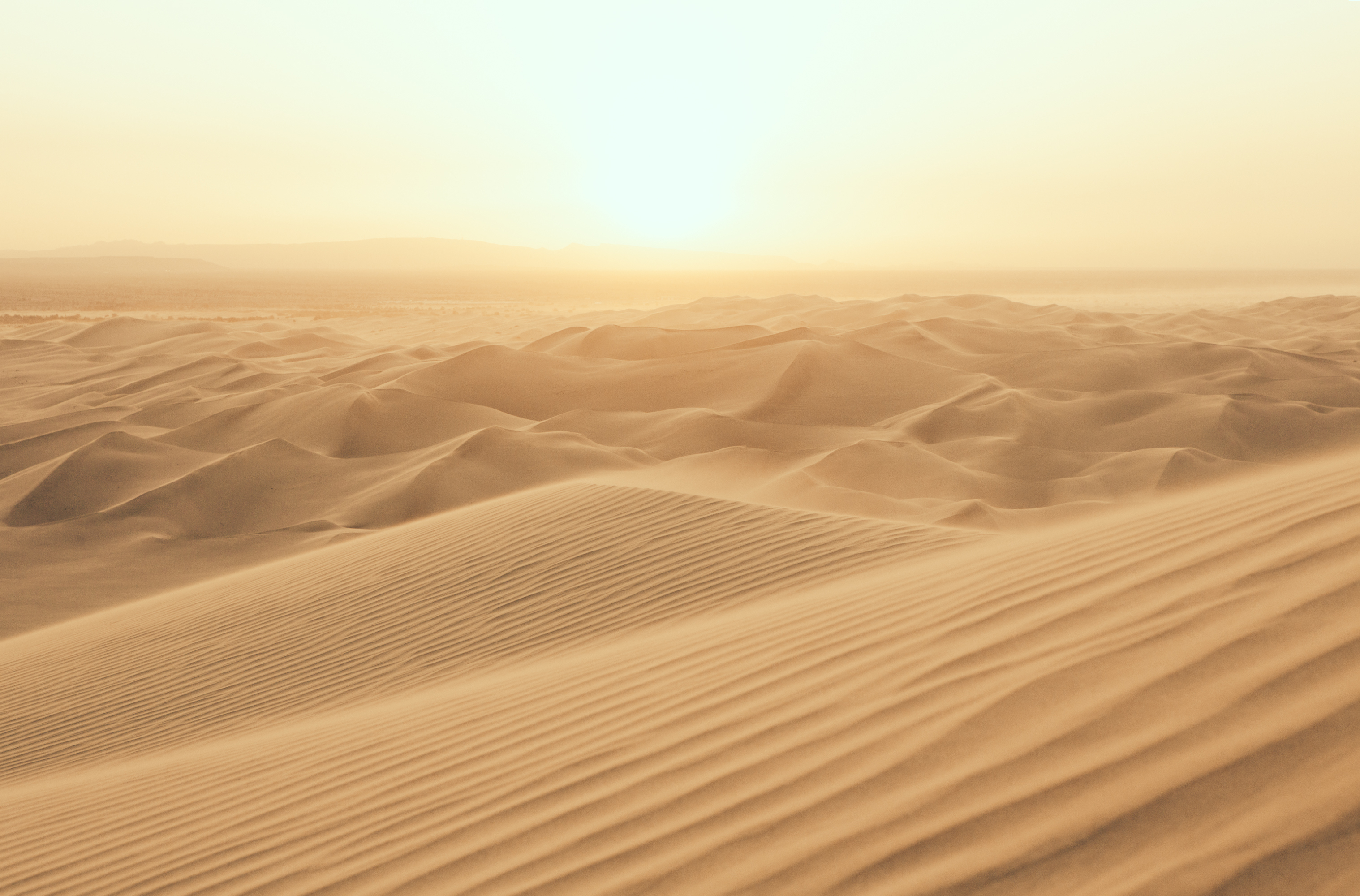 Characteristics Of Arid Climates - 