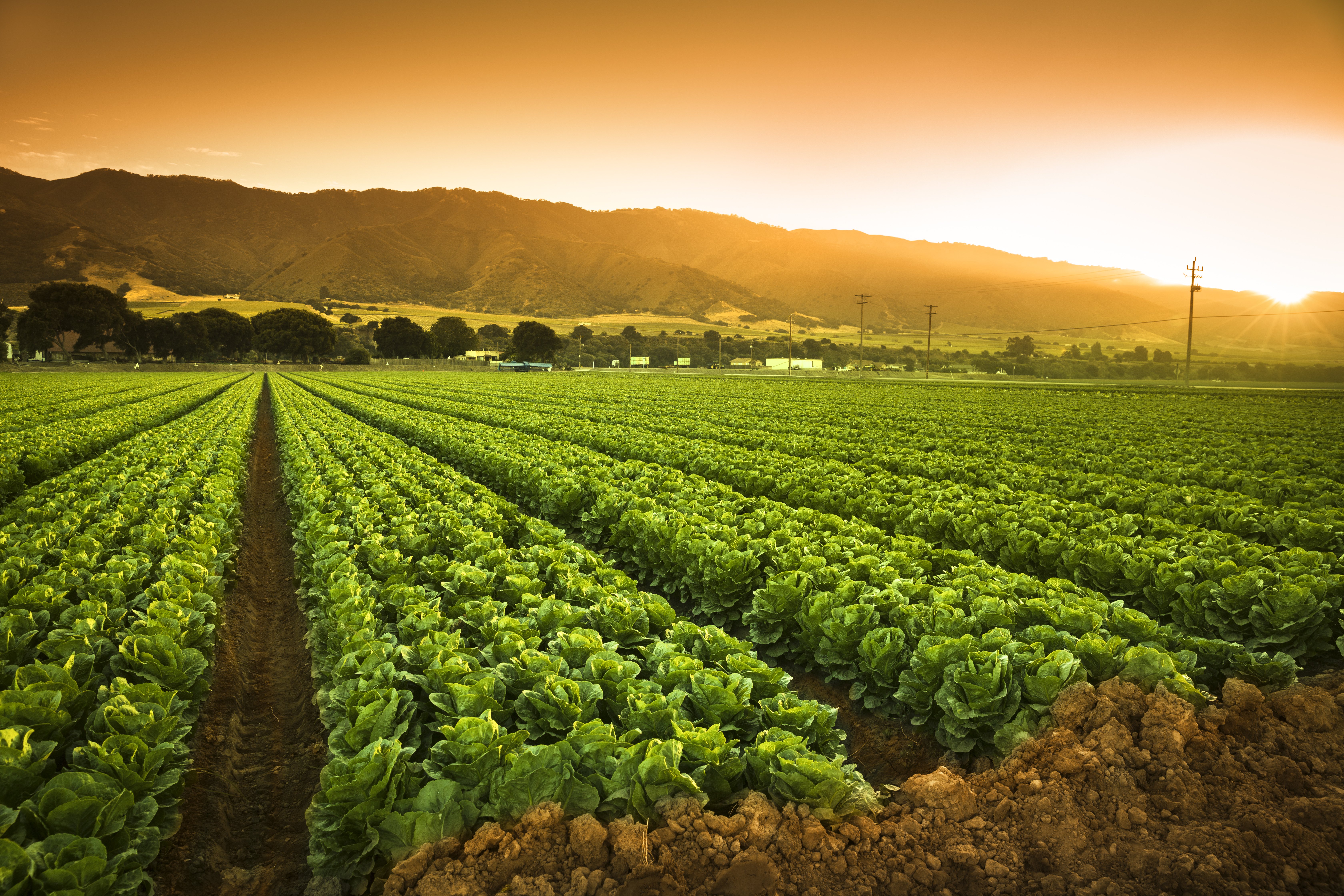 4 Types Of Soil Conservation