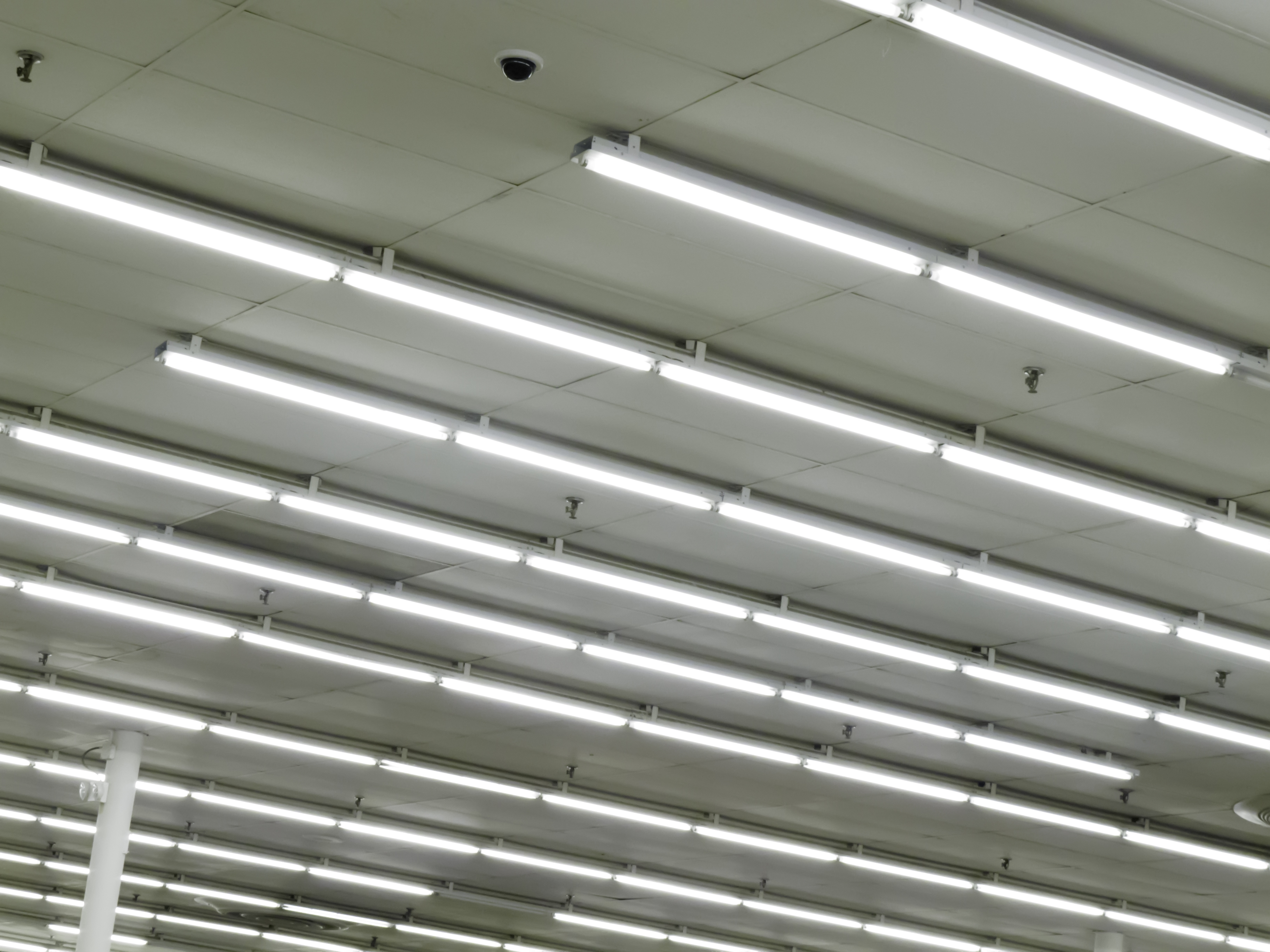 Long fluorescent store light bulbs