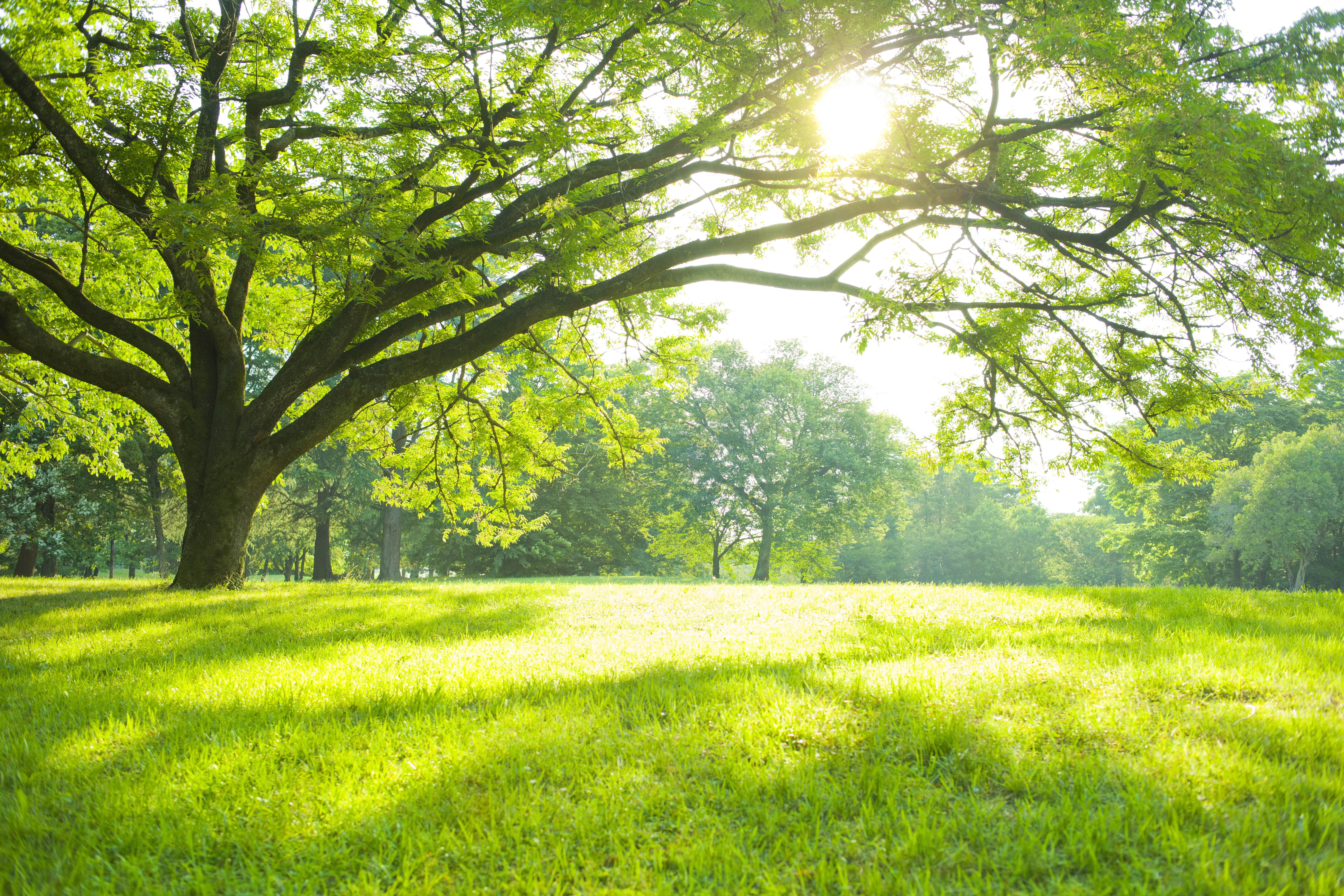 How To Measure 1 Acre In Feet