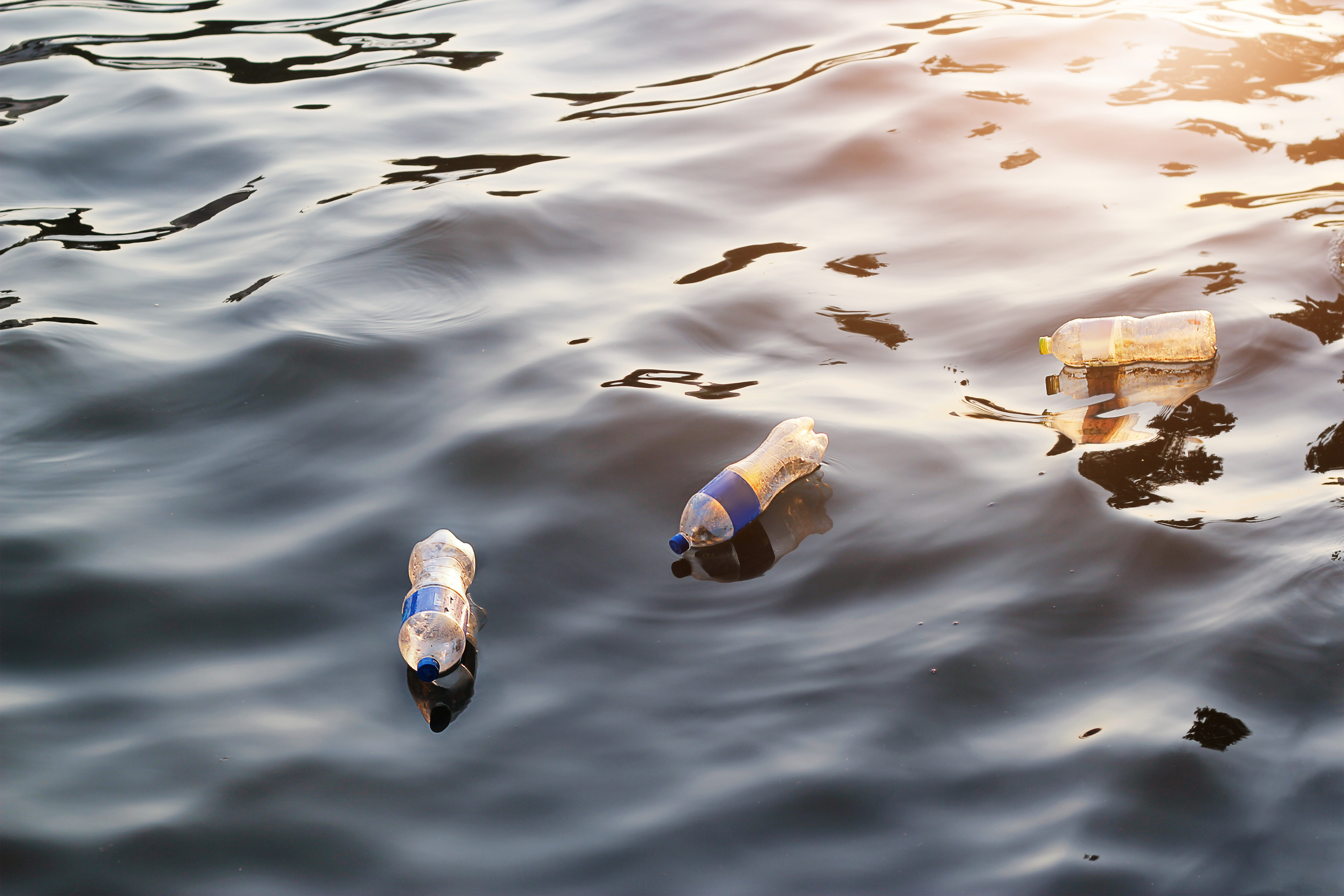 One significant impact of human activity on the oceans is marine pollution