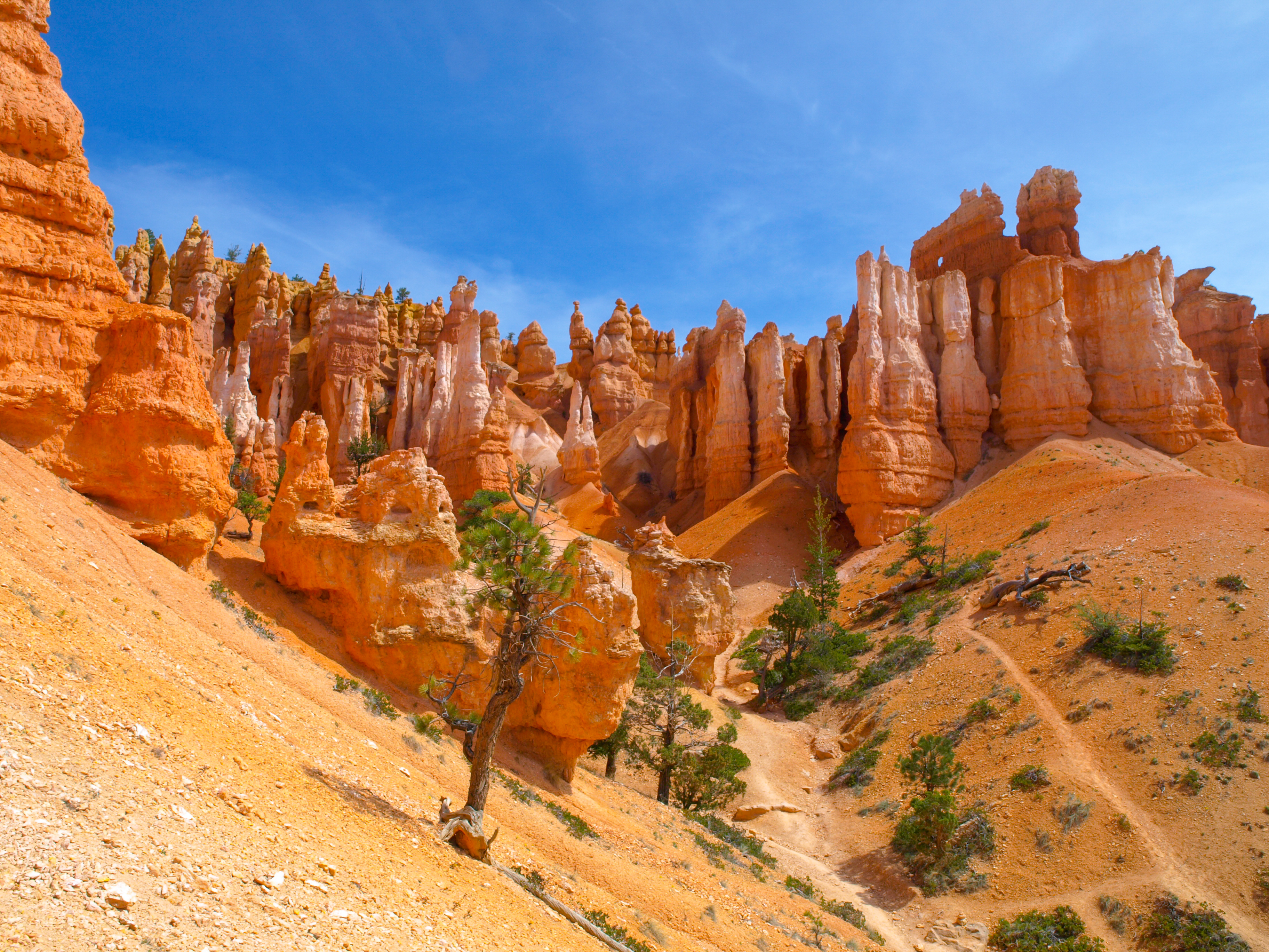 bryce canyon tours for seniors