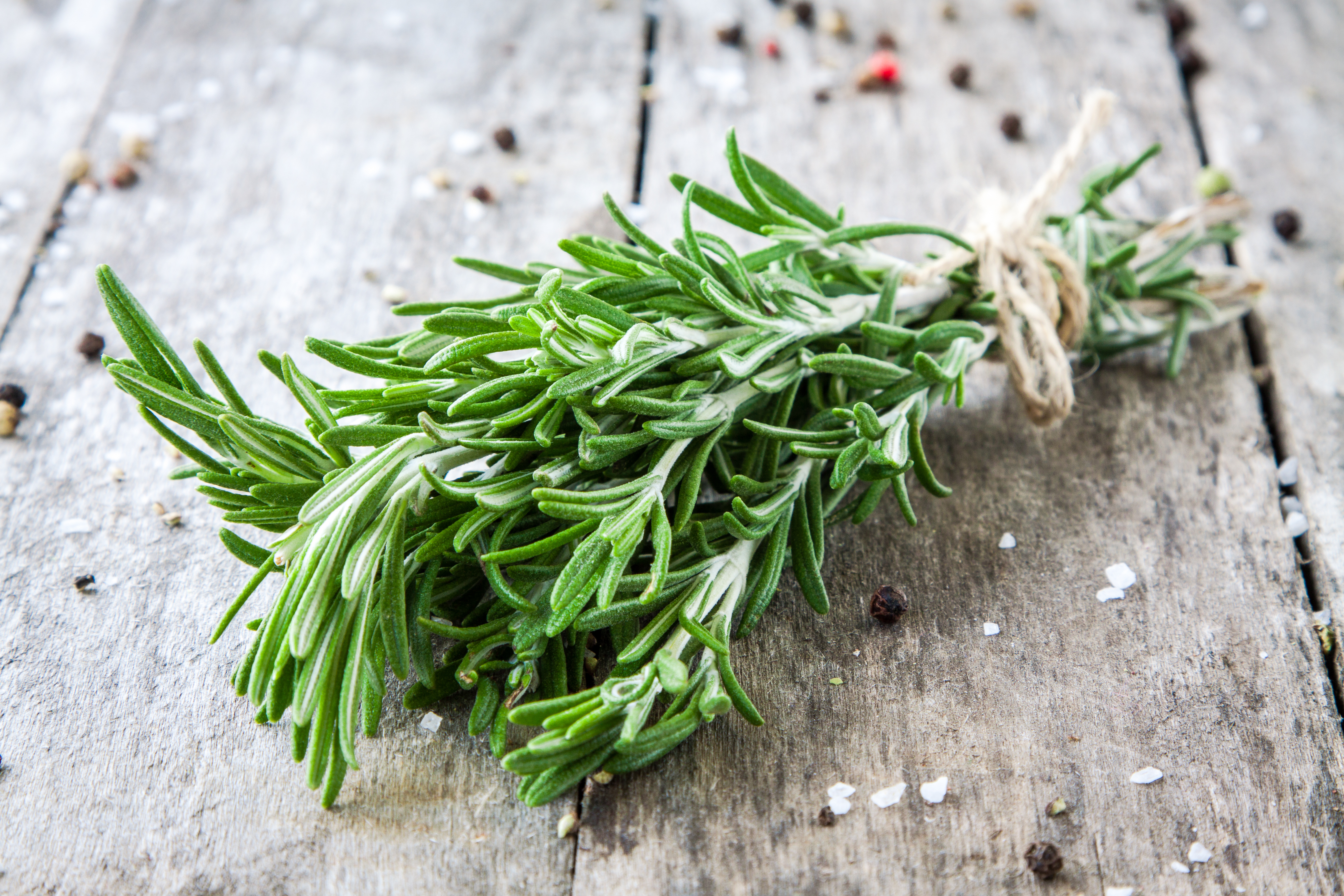 How to Store Fresh Rosemary