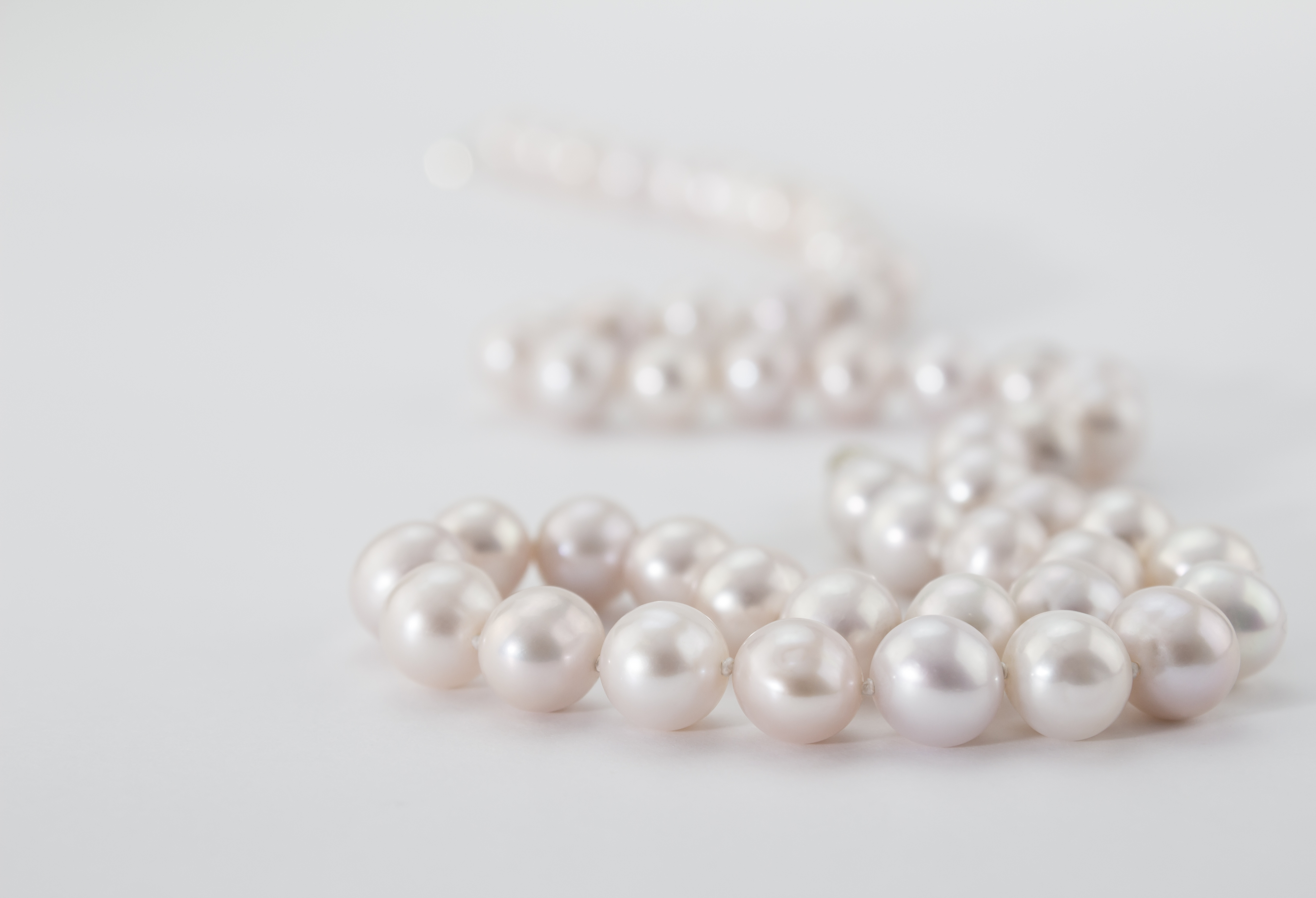 Mikimoto on sale clasp markings