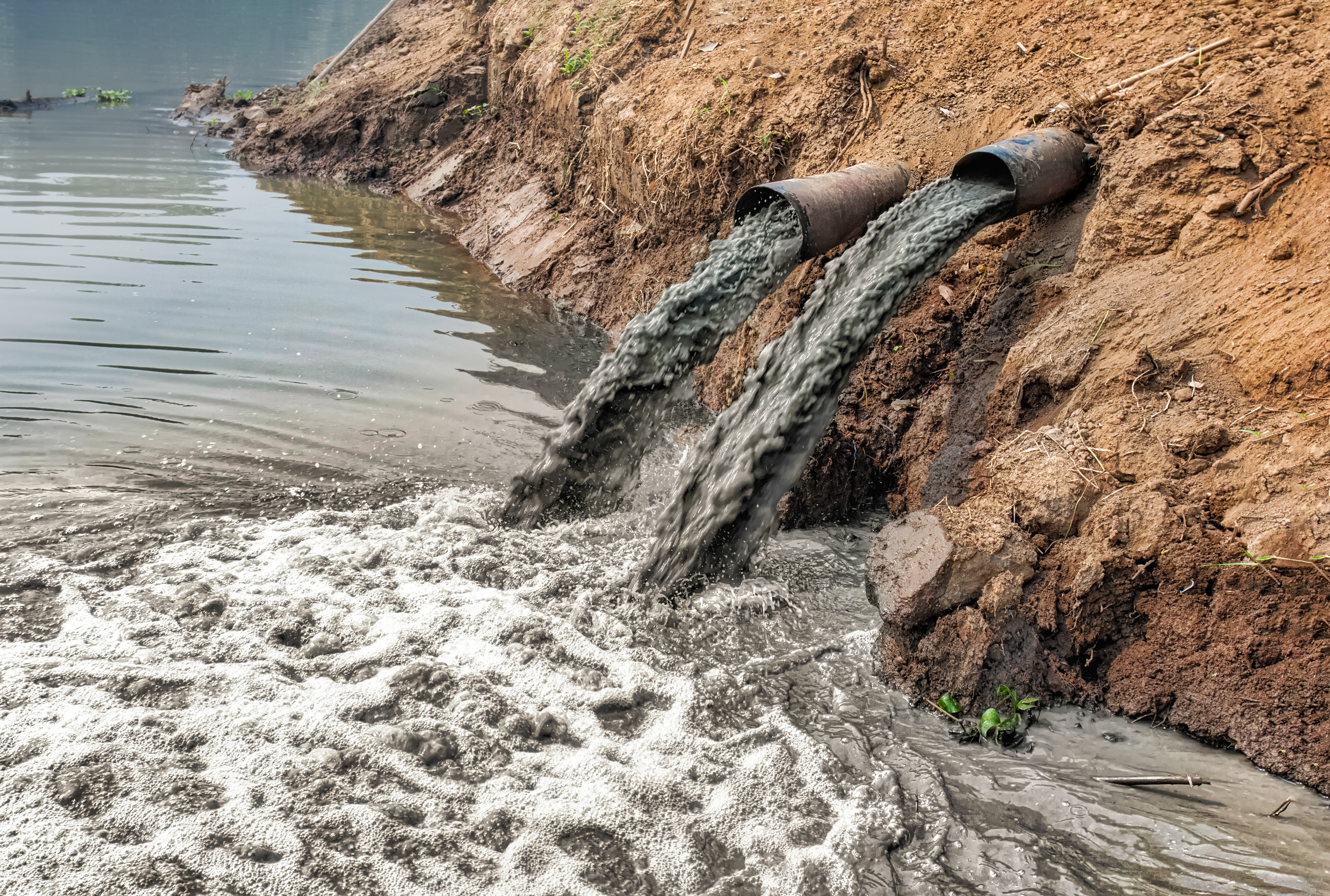 The Effects of Sewage on Aquatic Ecosystems