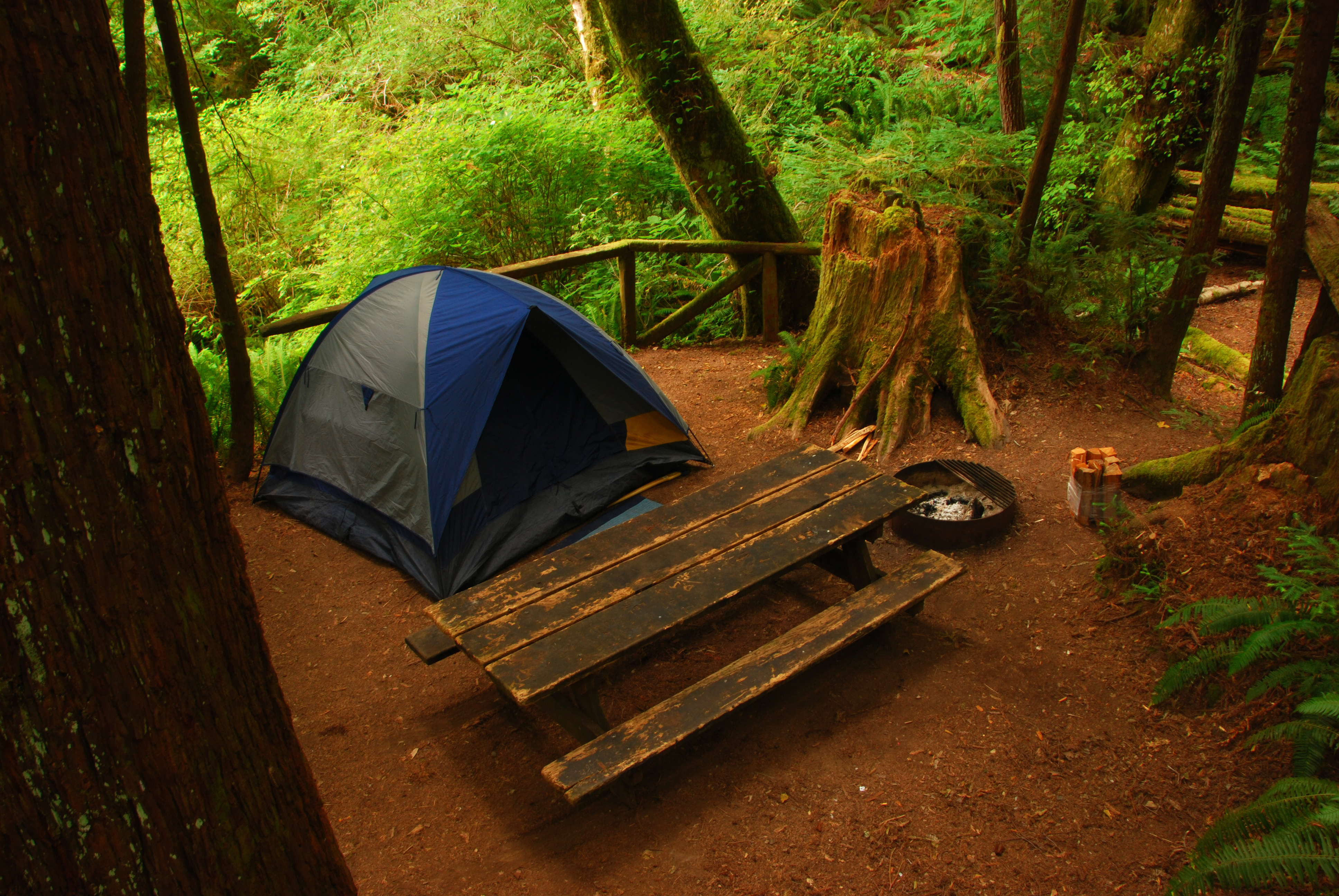 Camping At Redwood National Park