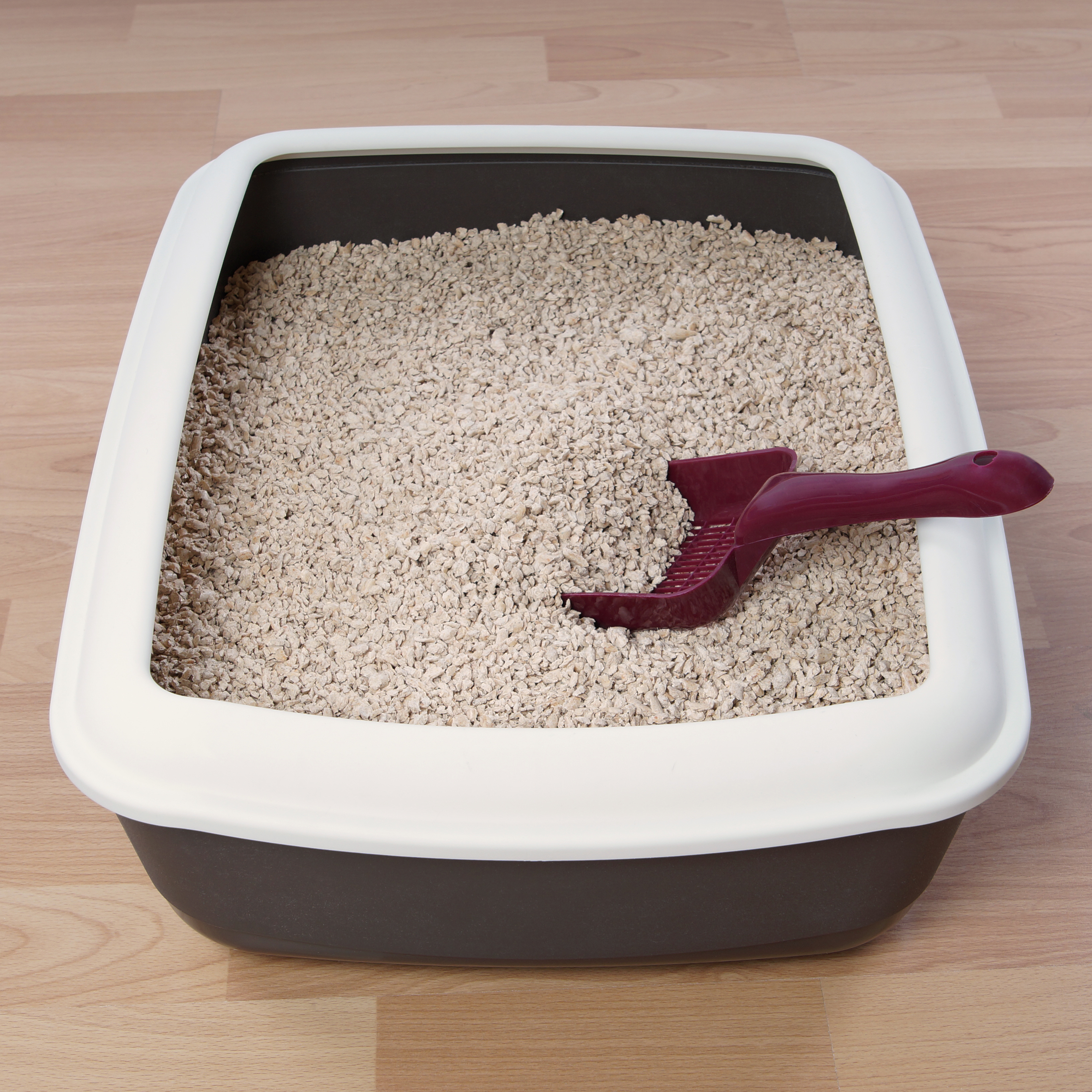 Mouse litter outlet box