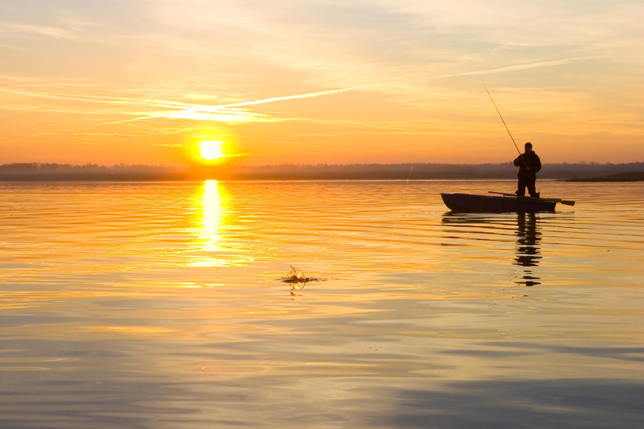 REGULATION: VIRGINIA SALTWATER RECREATIONAL FISHING LICENSES