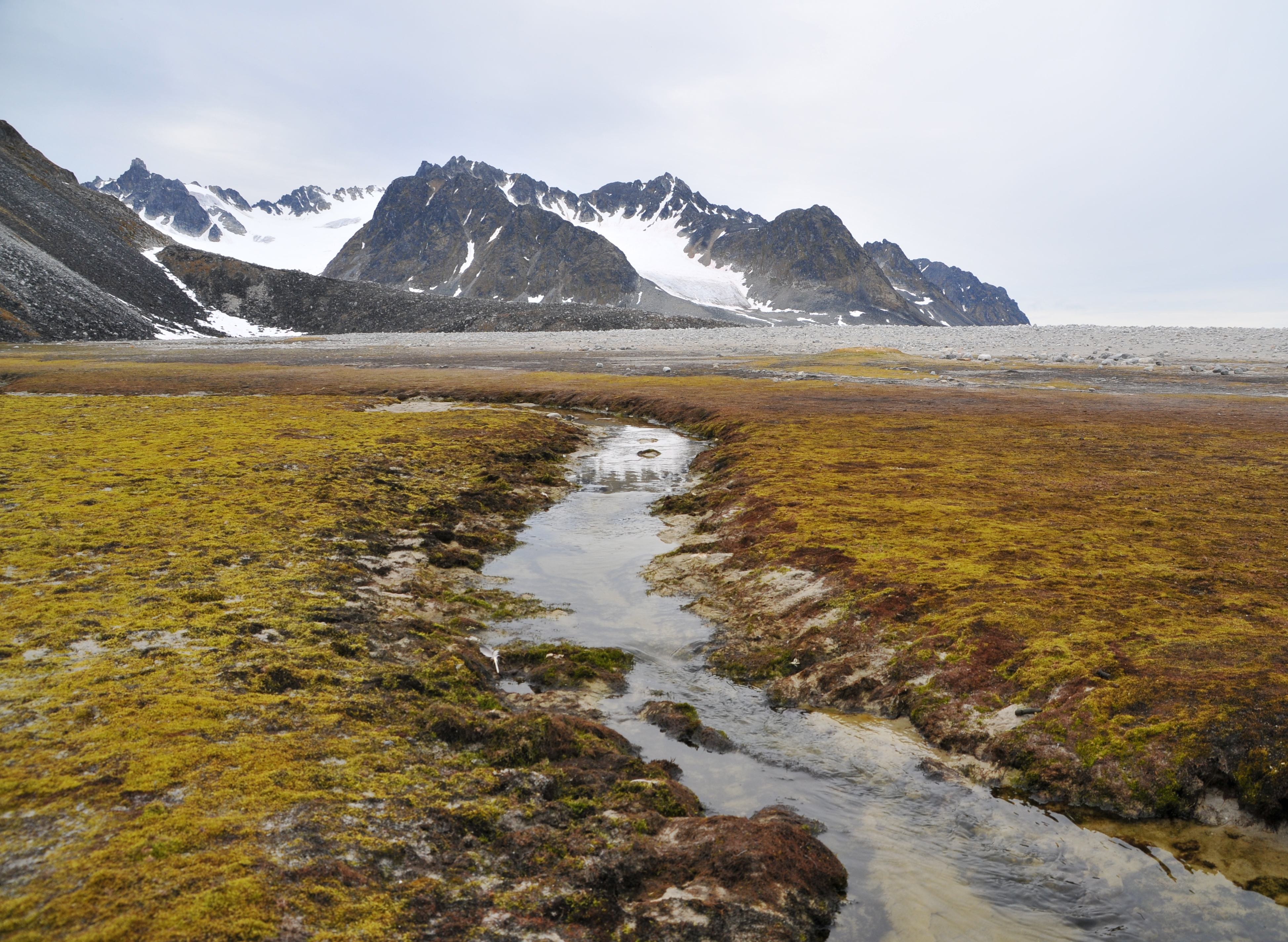 Tundra 2025 For Sale The Tundra Biome Facts Pictures Information A 