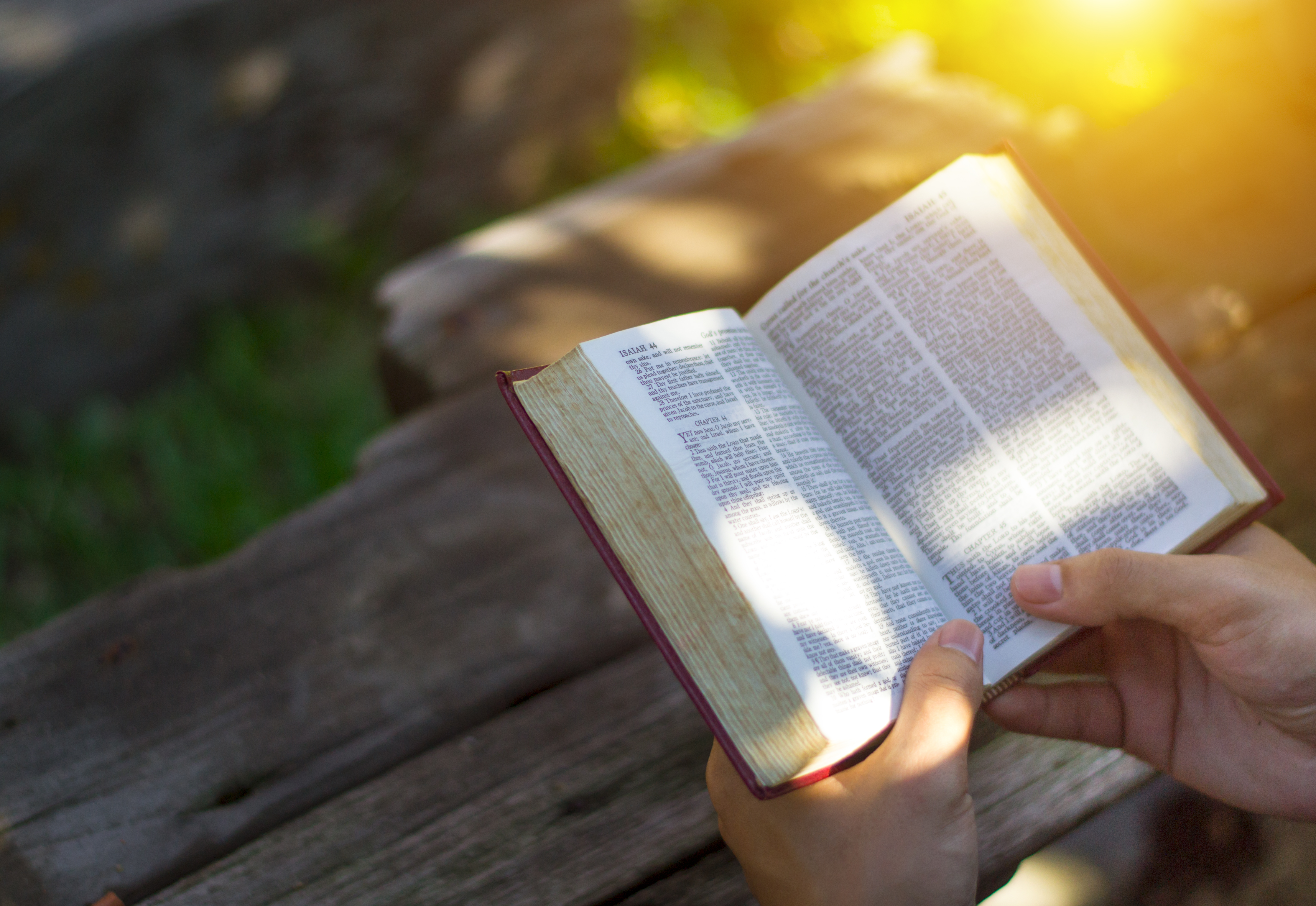 What Is the Difference Between a Licensed Minister & an Ordained Minister?
