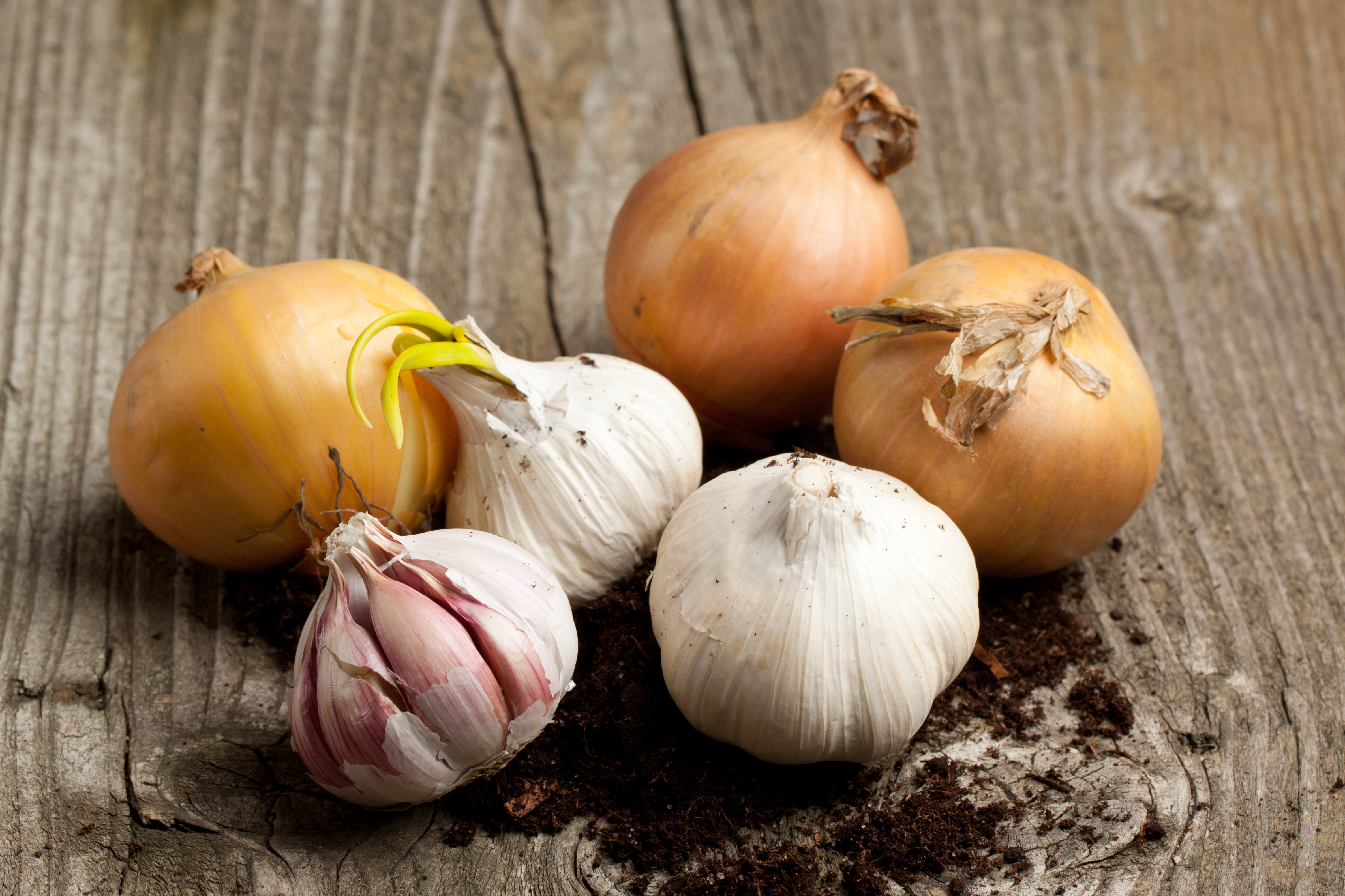 Onion Substitutes: Out of Fresh Chopped Or Dried Onions? - Hungry Huy