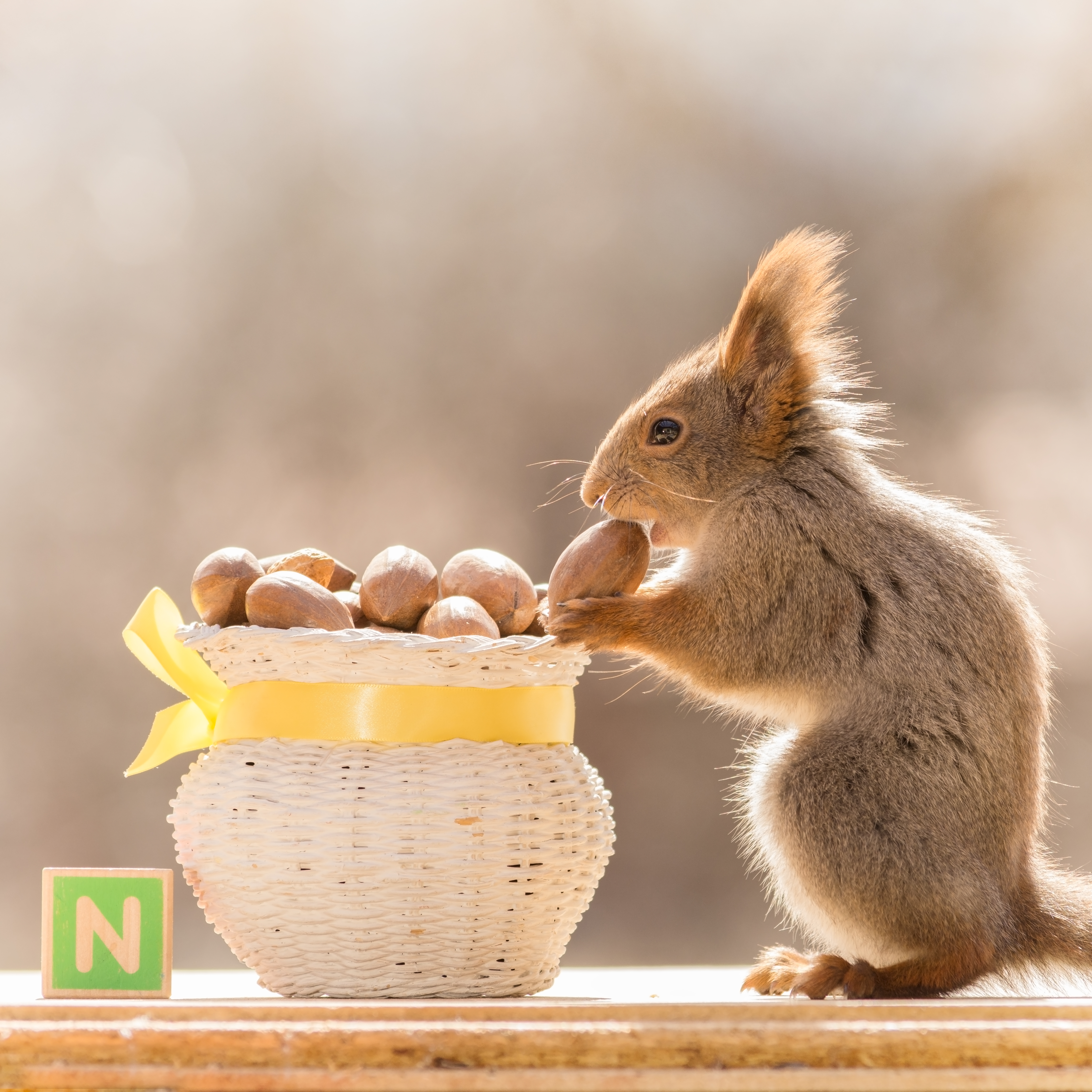 signs of spoiled packaged bird suet