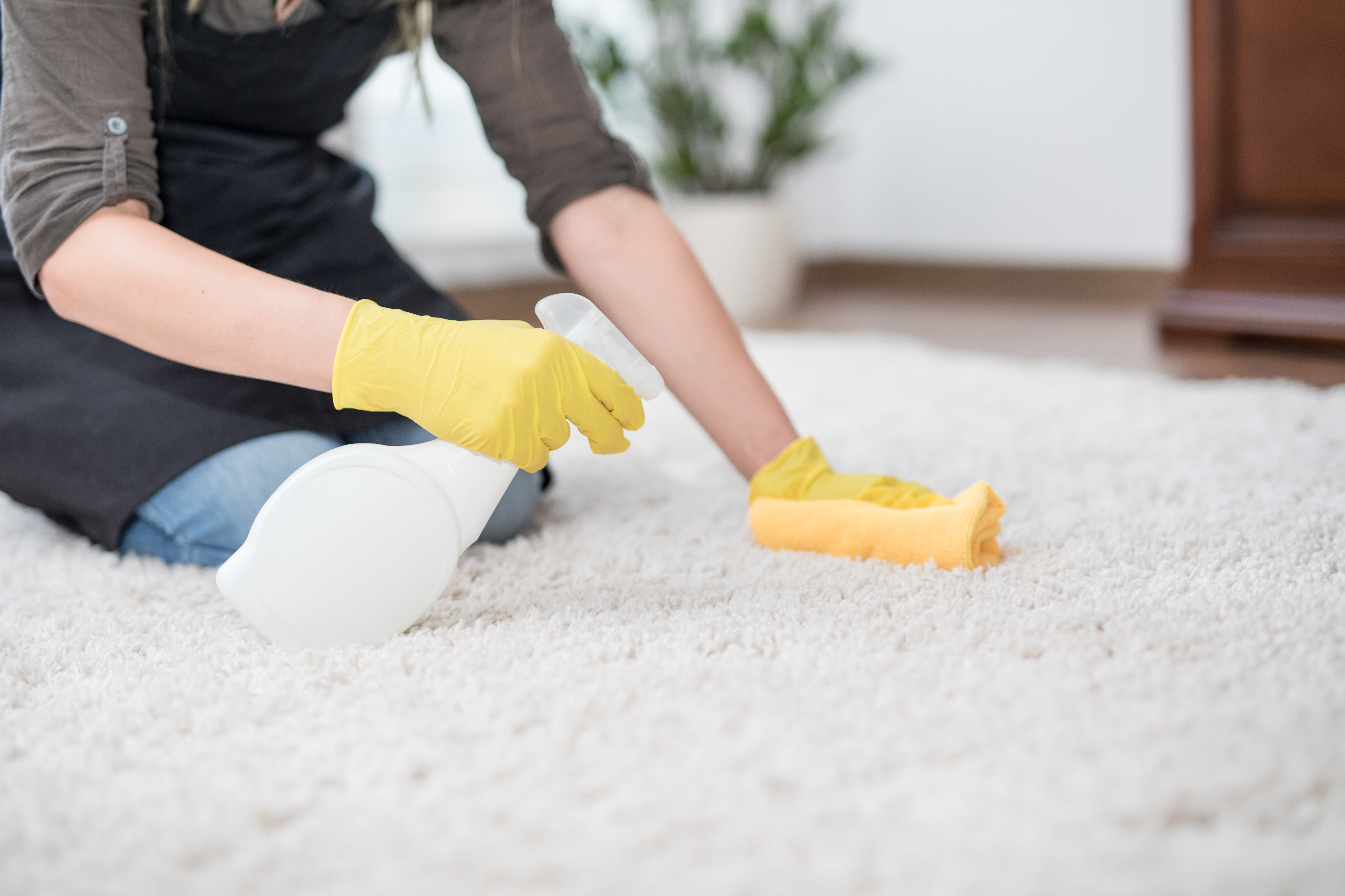 How To Get Rid Of A Mildew Odor In Carpet Hunker