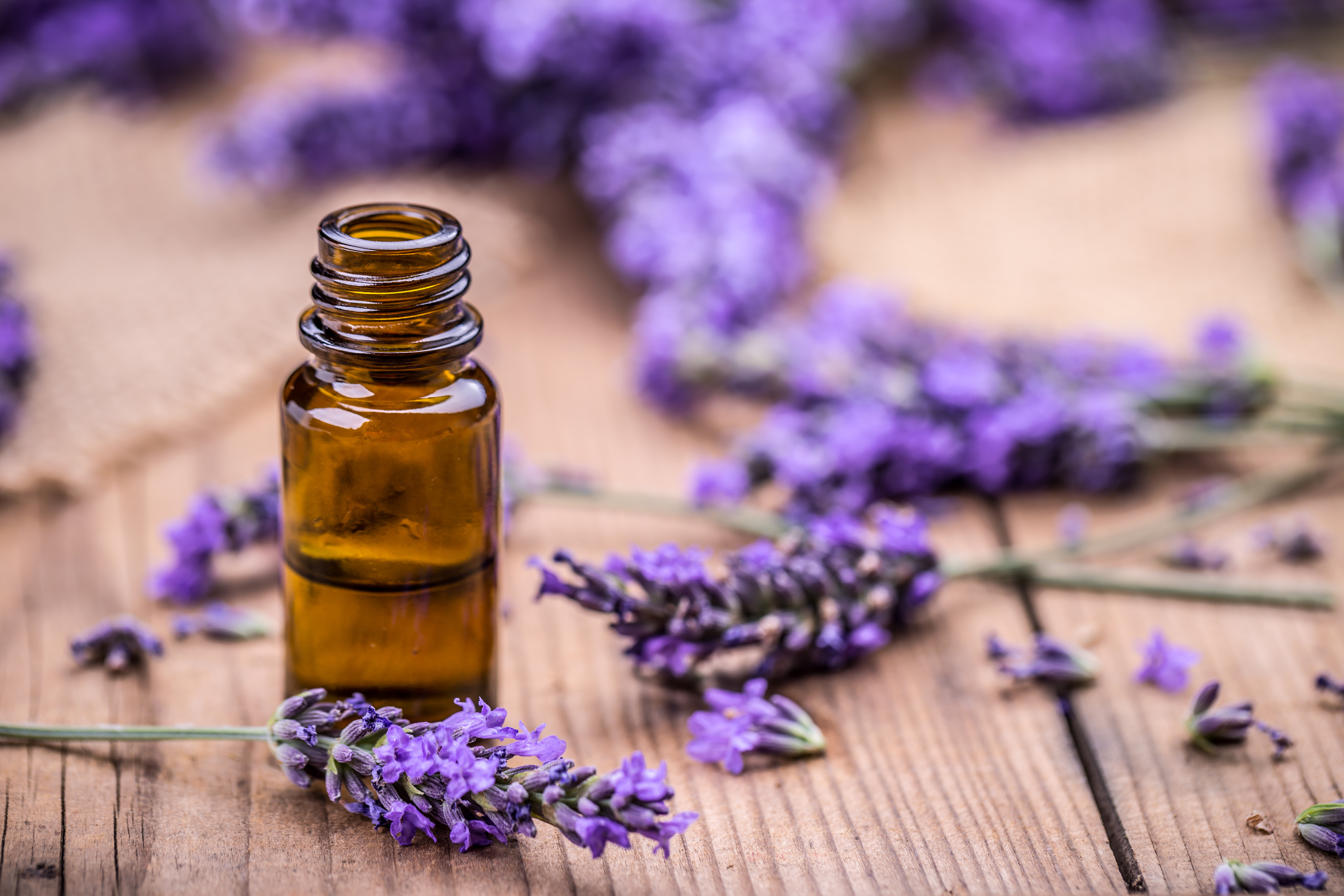 How to Extract Essential Oils & Scents From Flowers