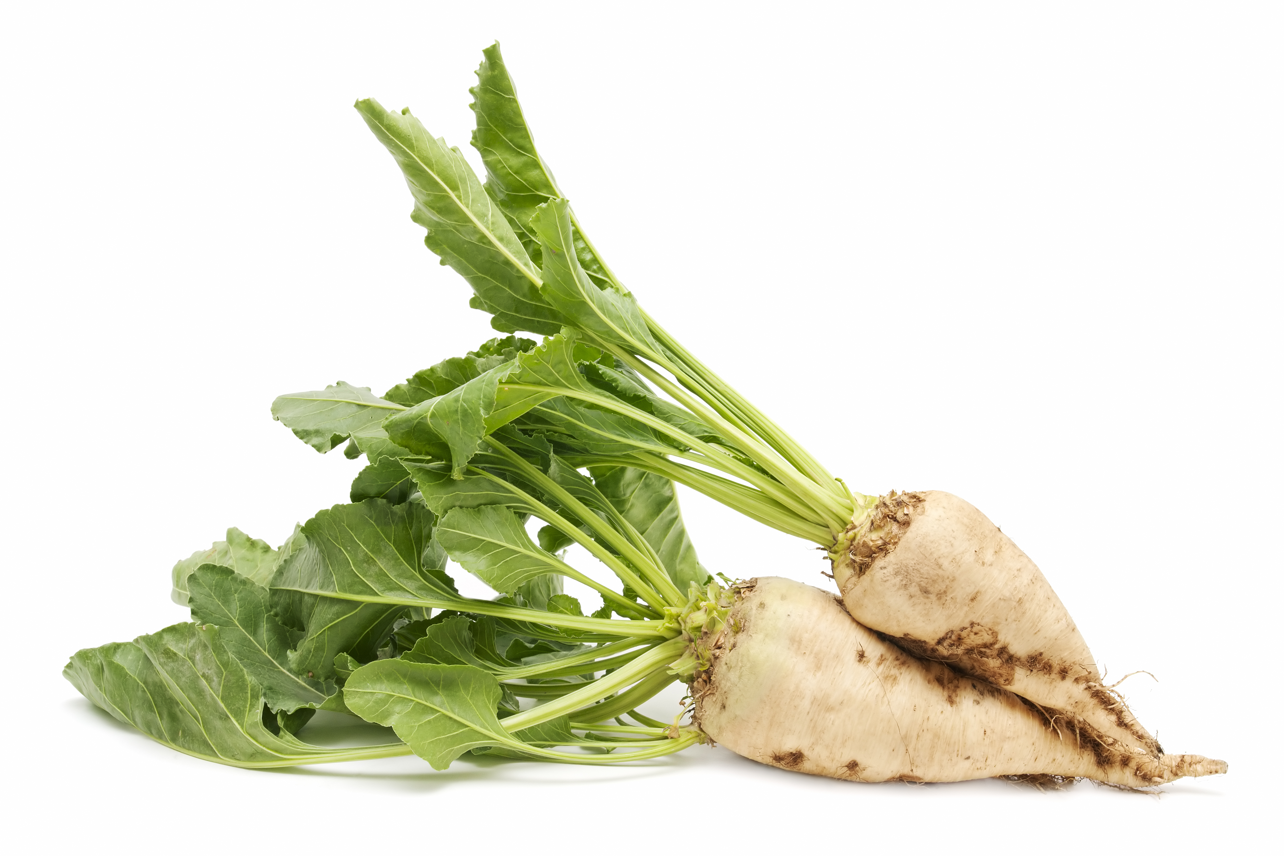 How To Cook Sugar Beets