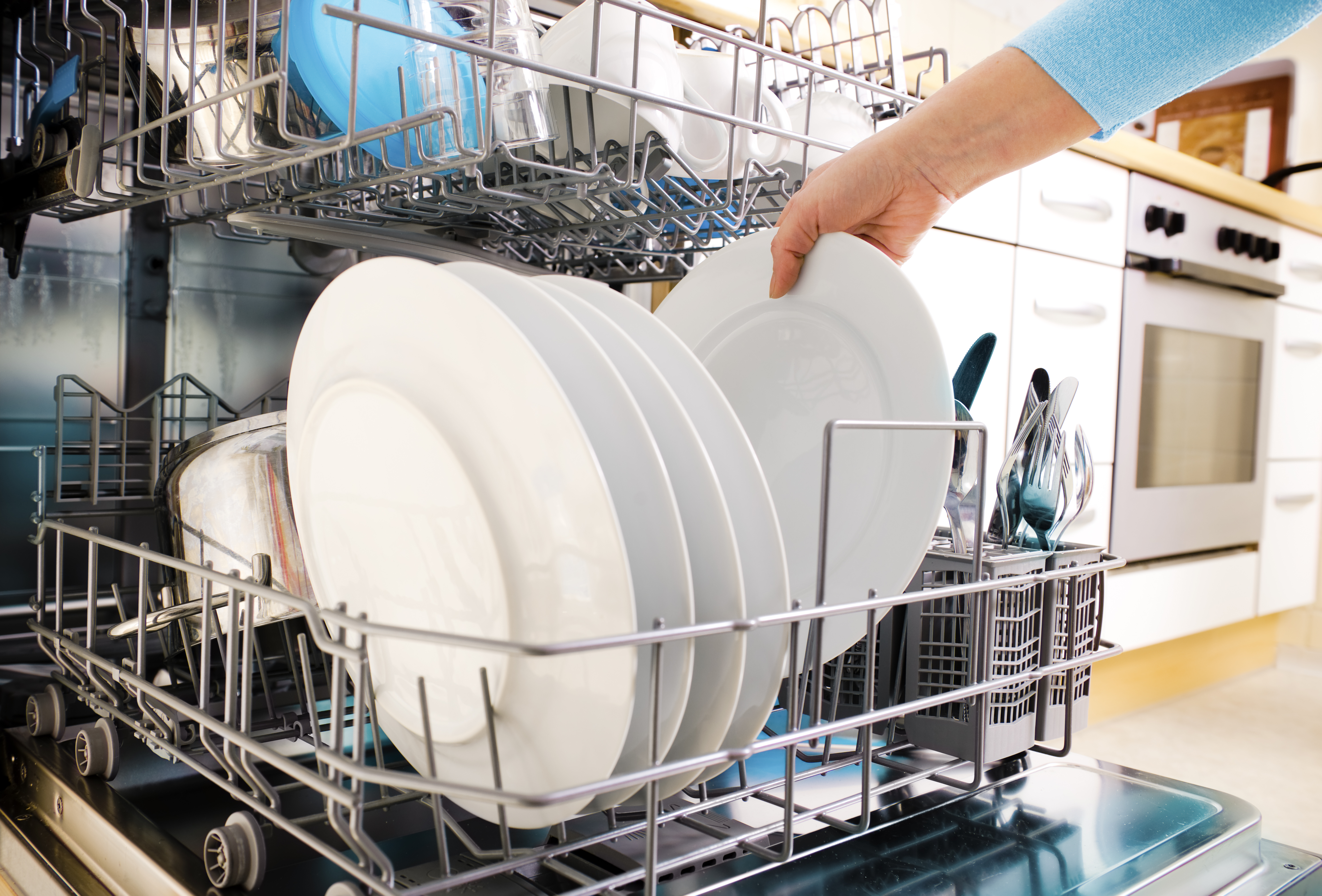 How To Delime A Dishwasher Hunker