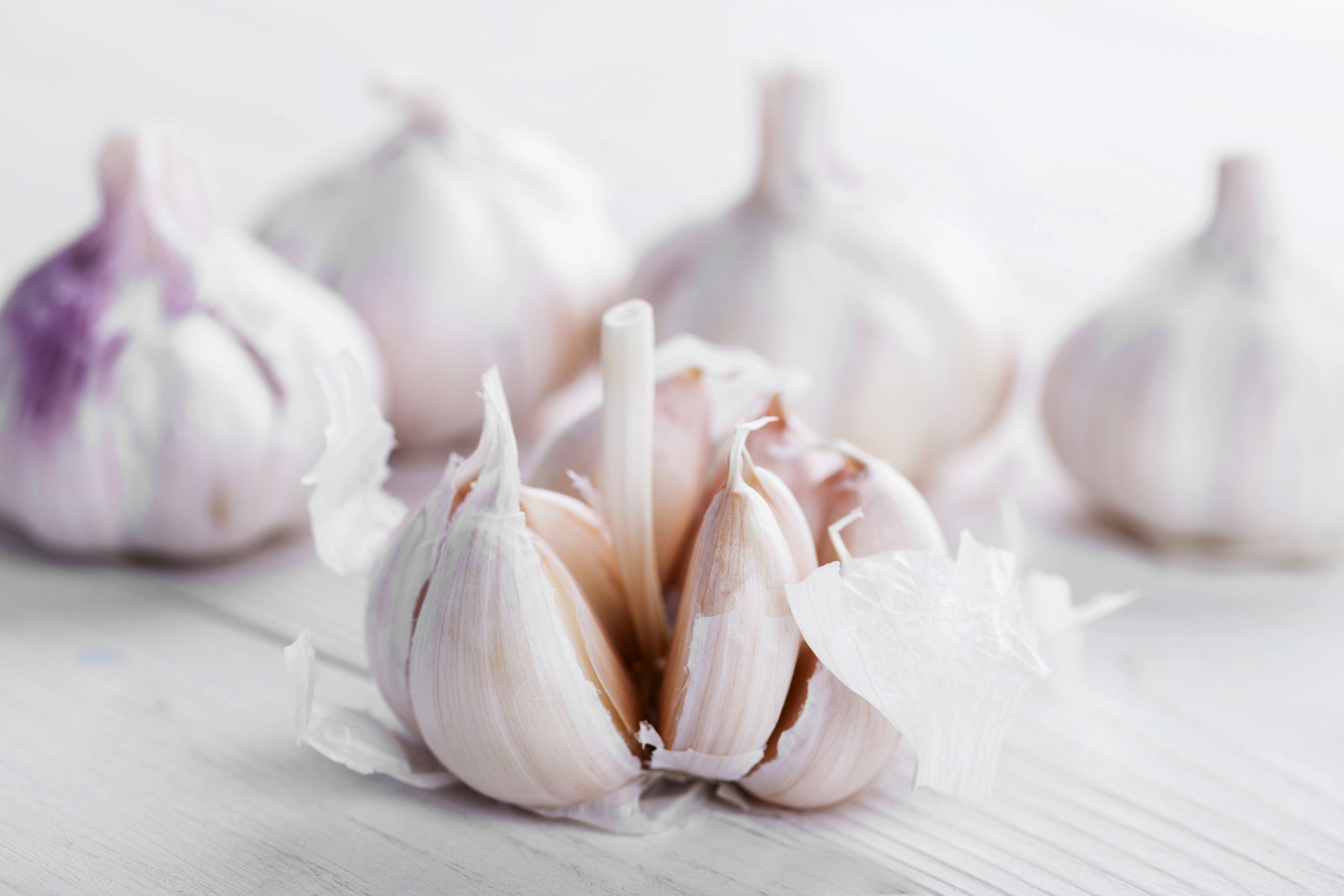 Garlic Powder Vs. Fresh Garlic: How Do They Compare – Healthy Blog