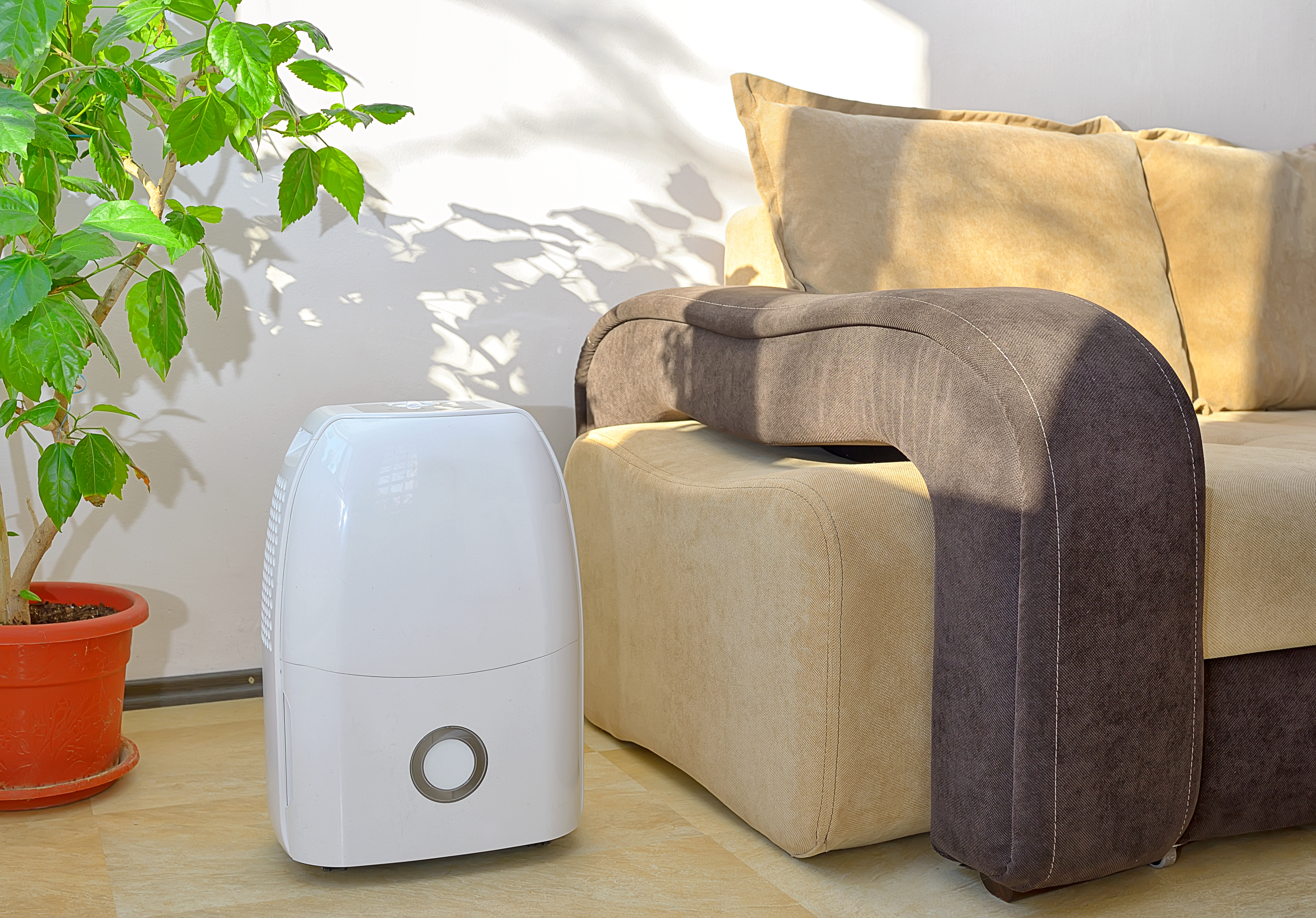 How To Use A Dehumidifier To Cool A Bedroom Home Guides