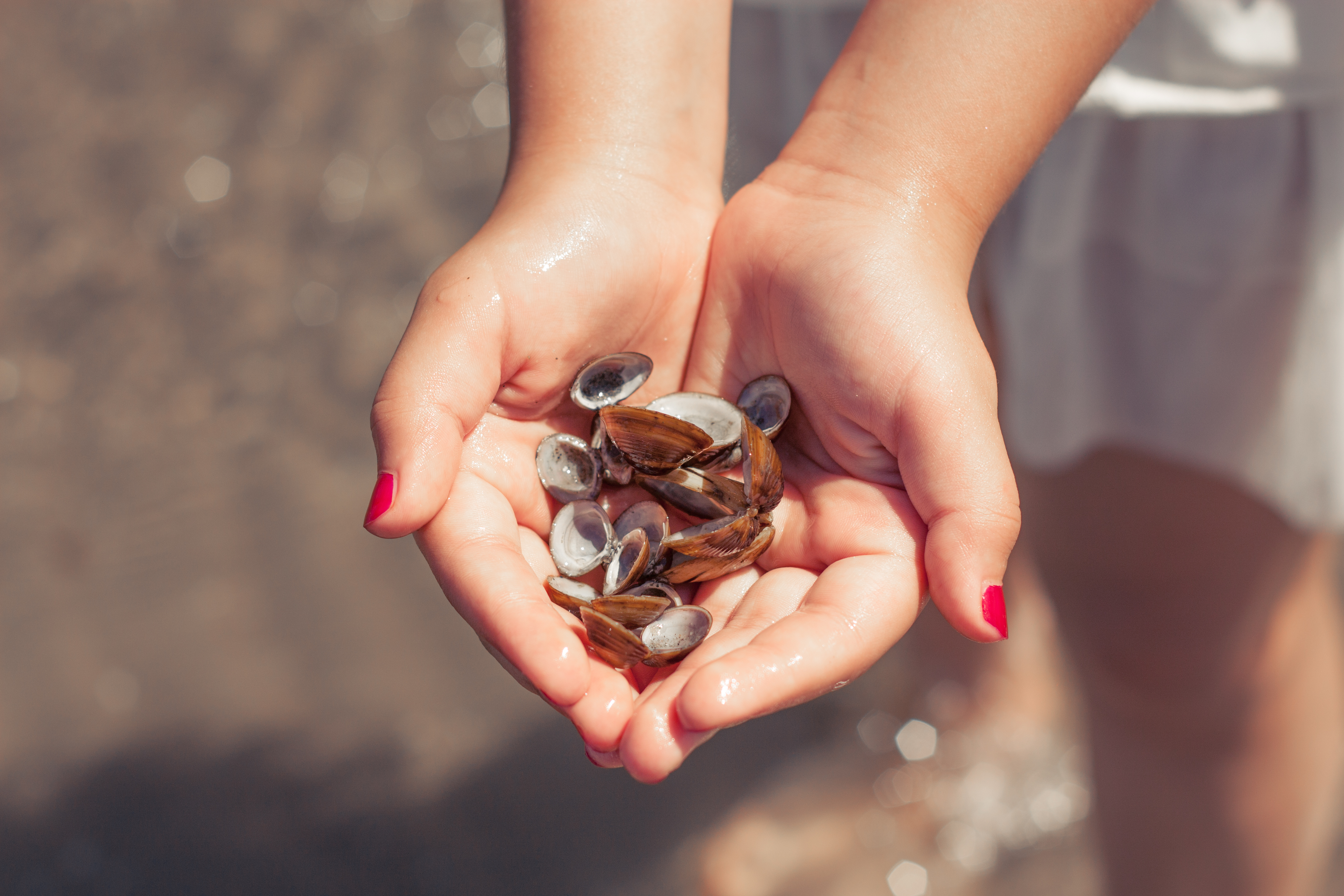 how-much-does-a-marine-biologist-make