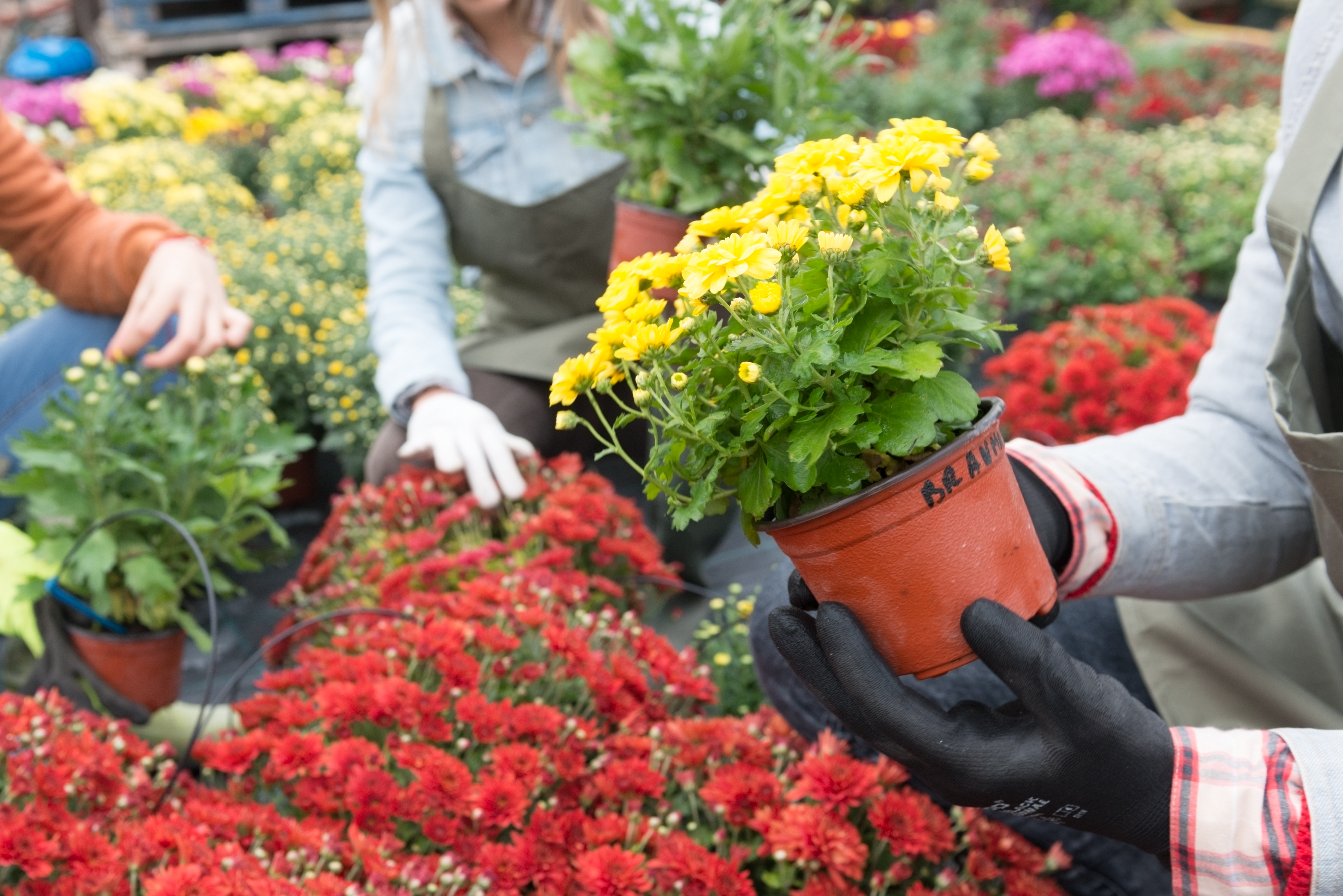How To Remove Water Spots From Cement Caused By Flower Pots Home