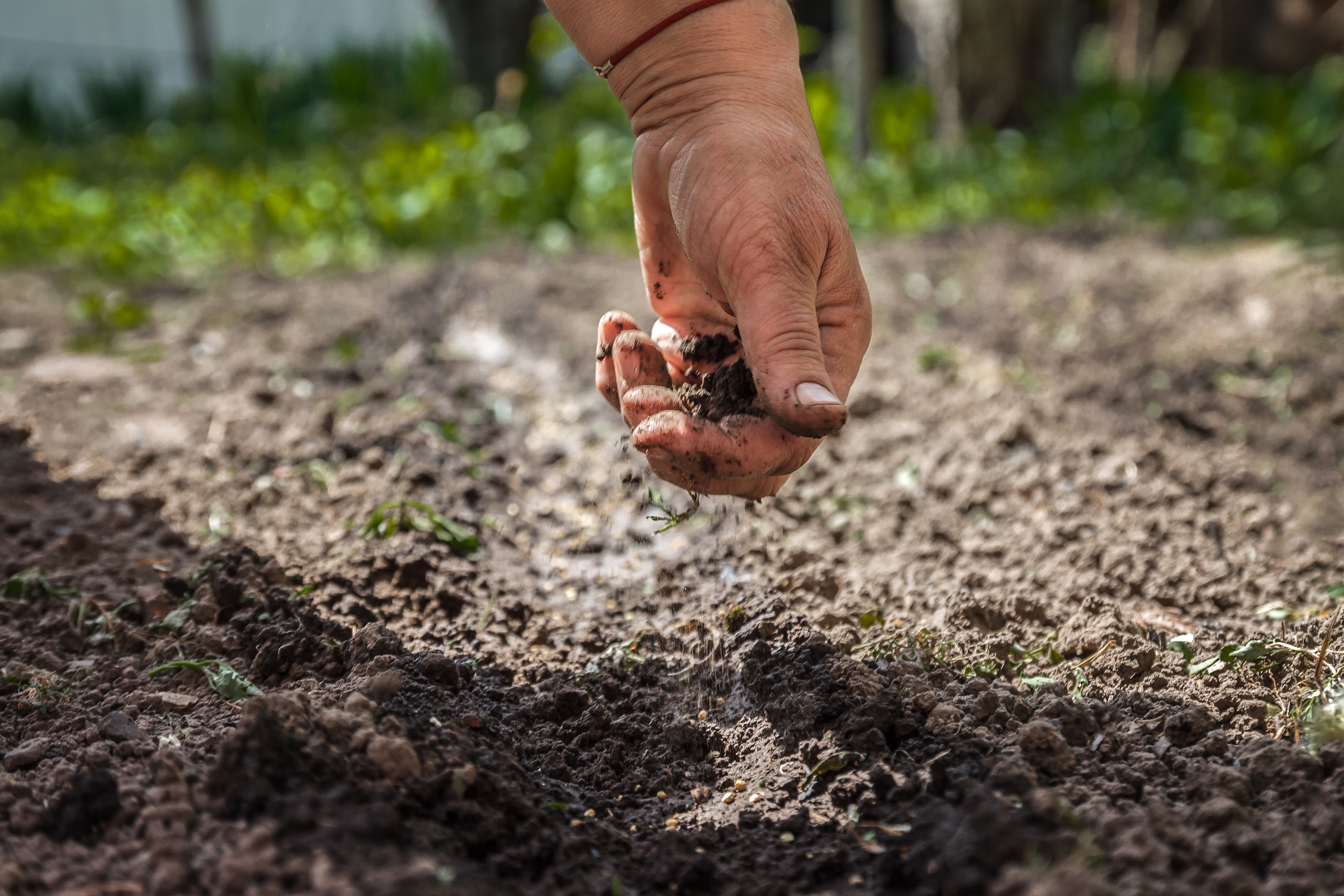 Difference Between Potting Soil Top Soil