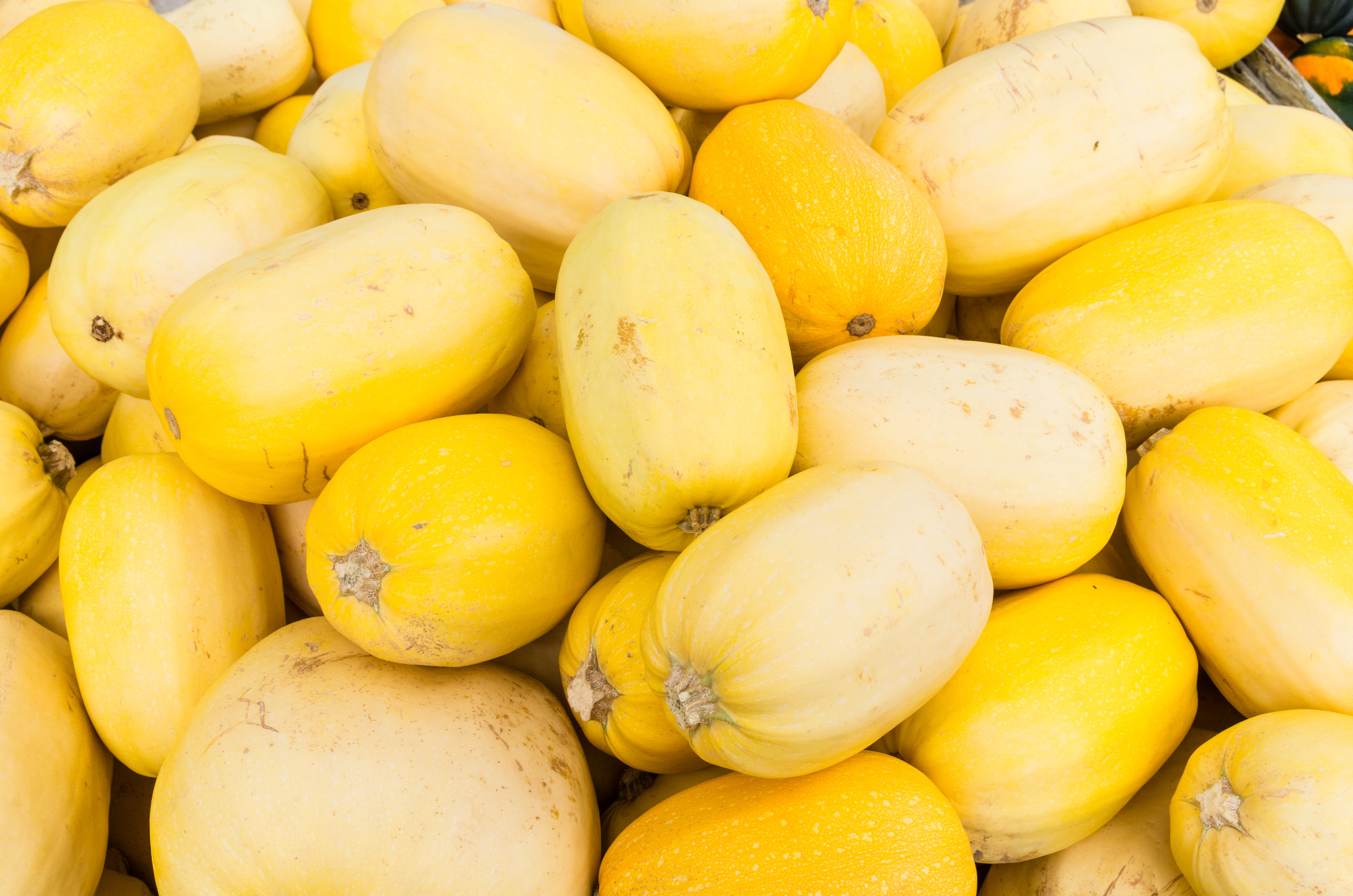 How To Identify Spaghetti Squash