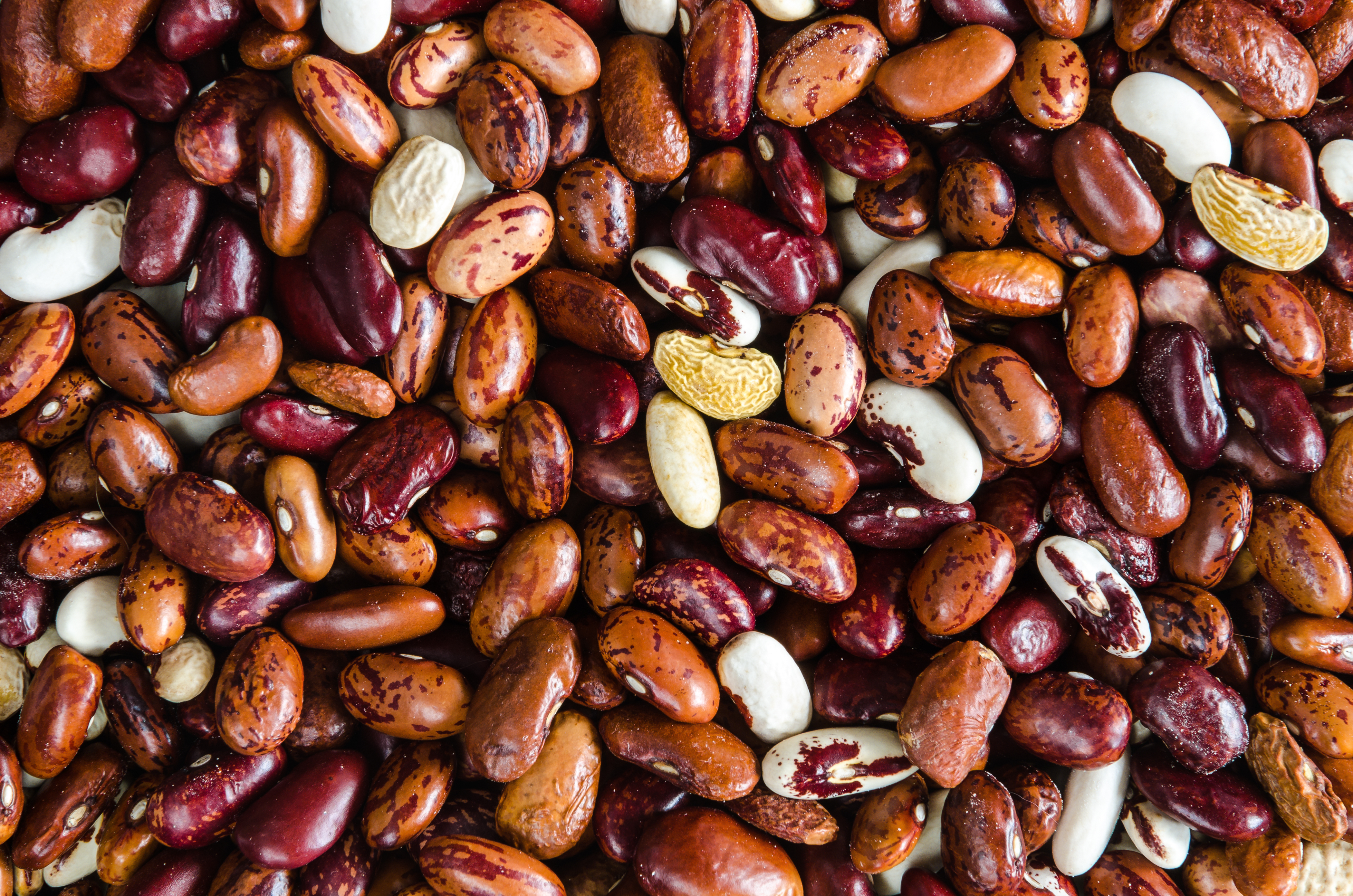 Differences Between Kidney Beans Pinto Beans