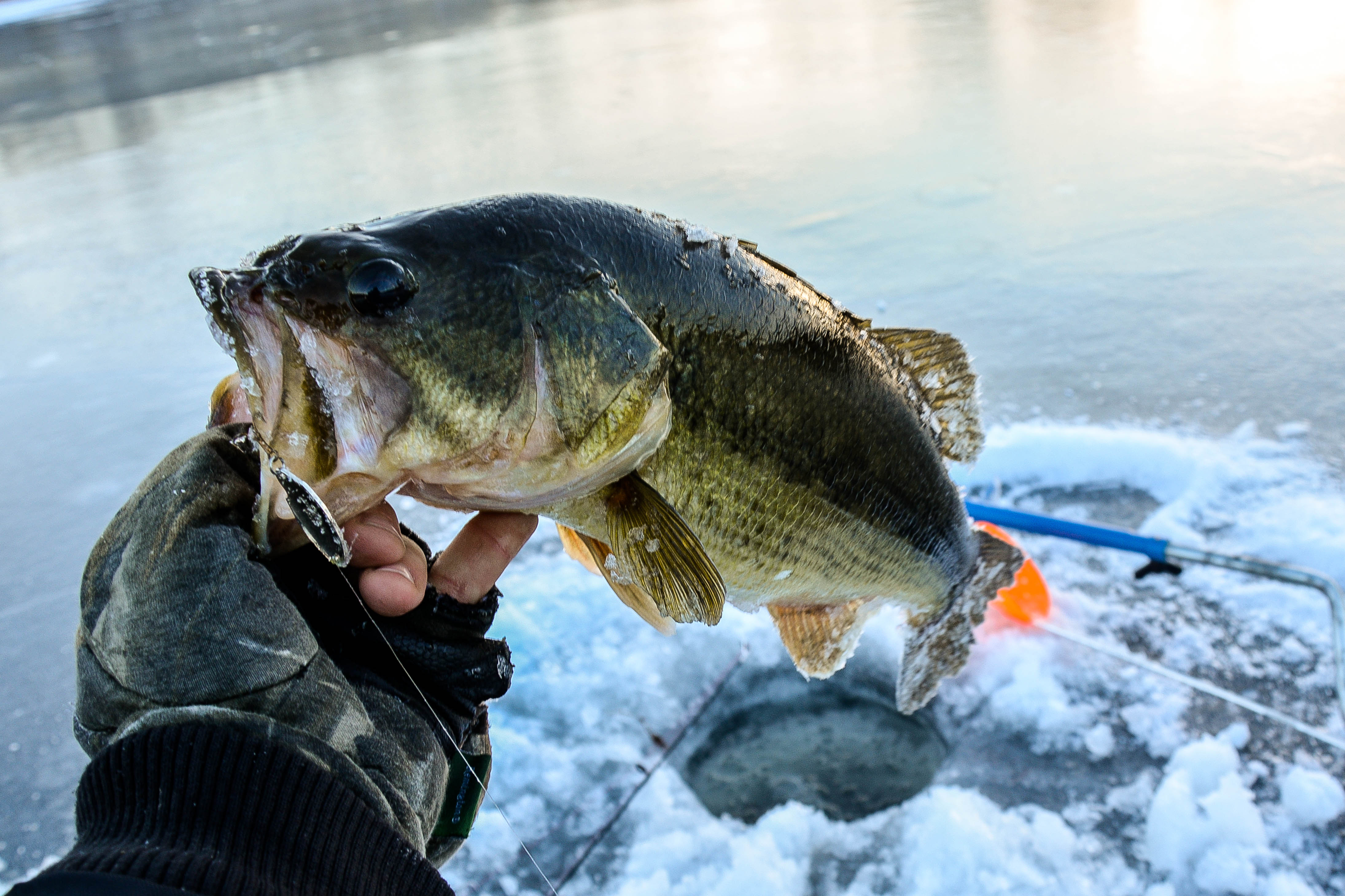 Minnesotans - Go Ice Fishing in Style with Busch Light