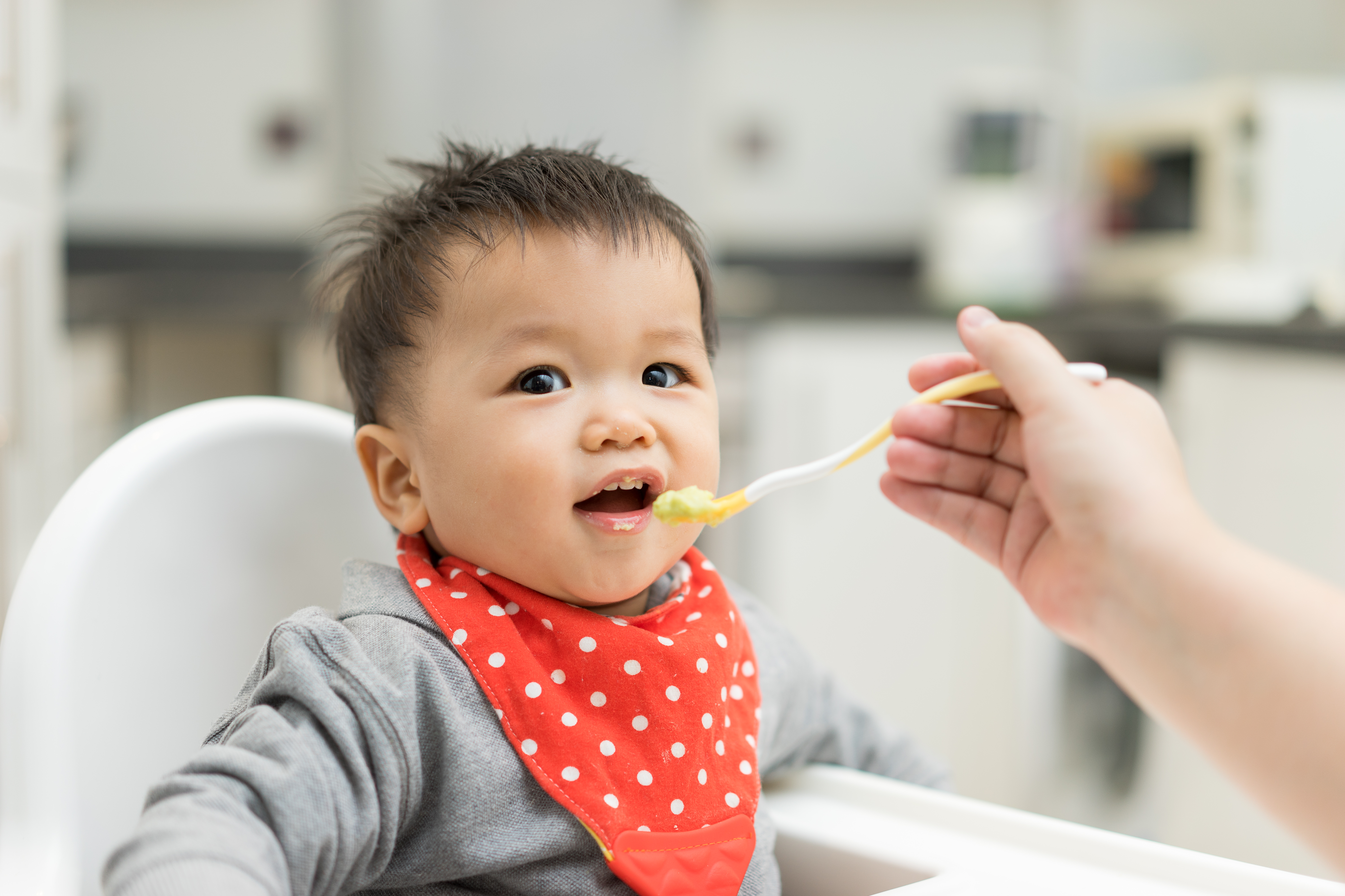 when do babies eat food