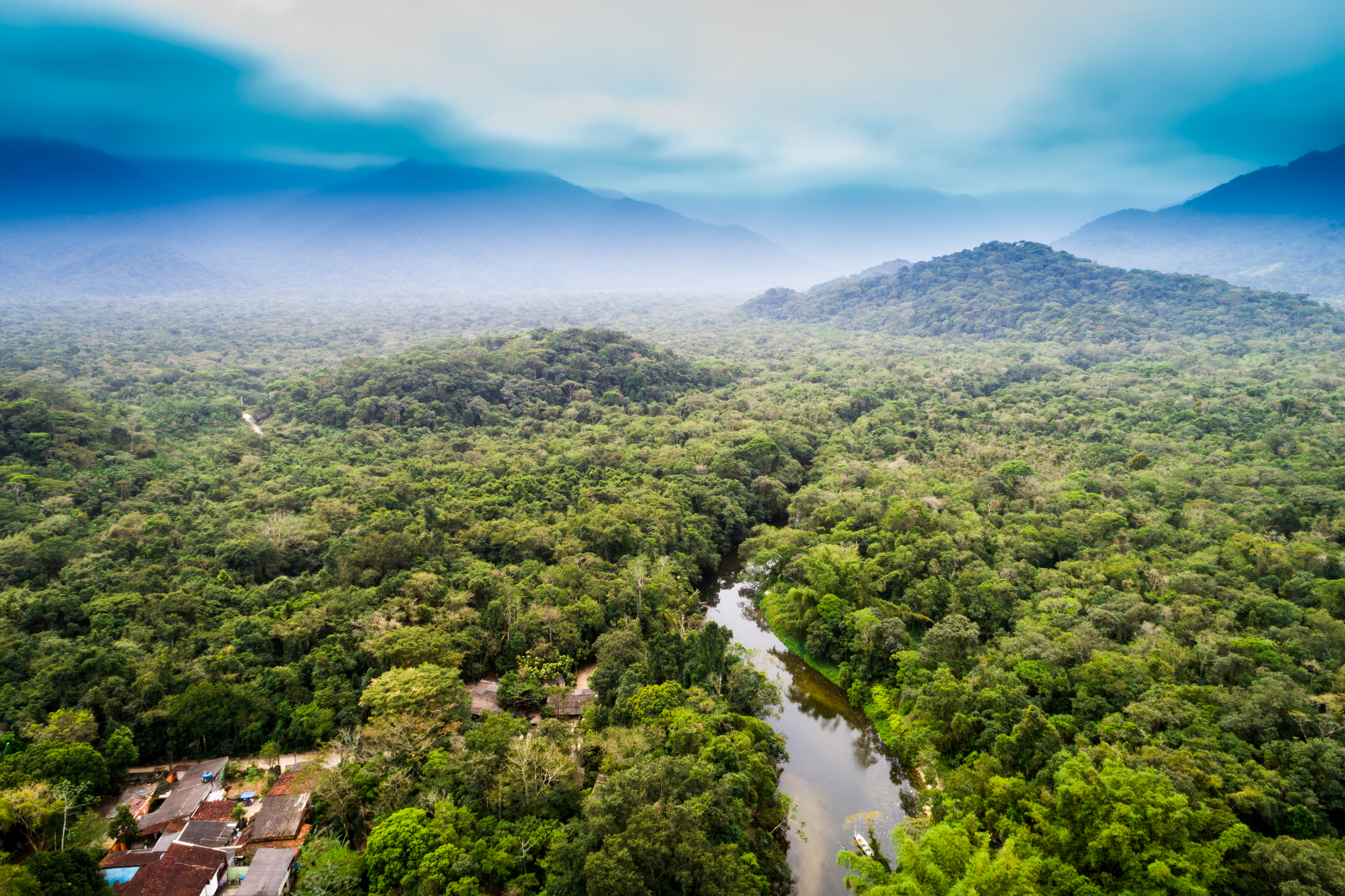 Abiotic Factors of a Rain Forest