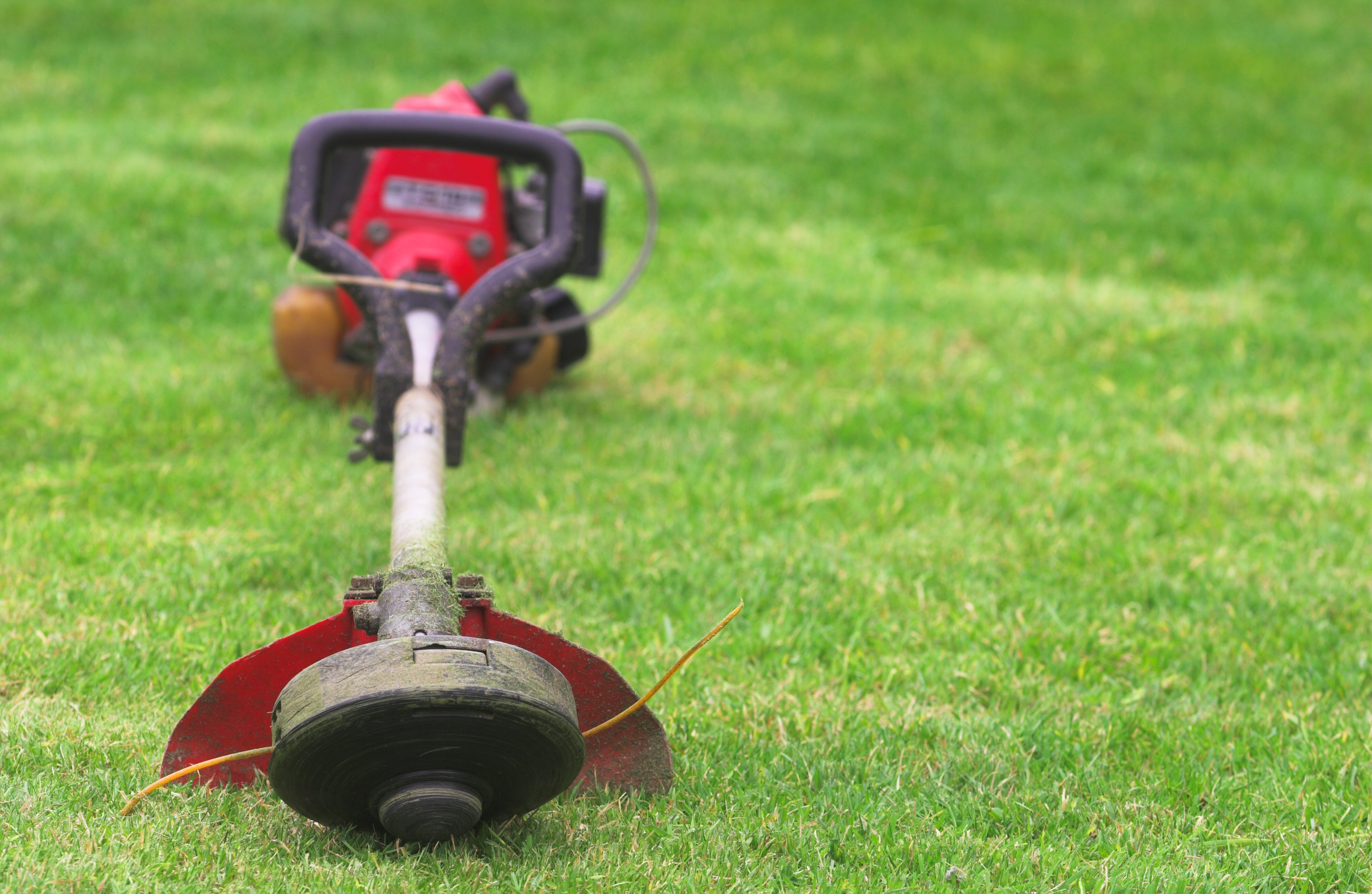 4 Cycle Vs 2 Cycle Gas Trimmers